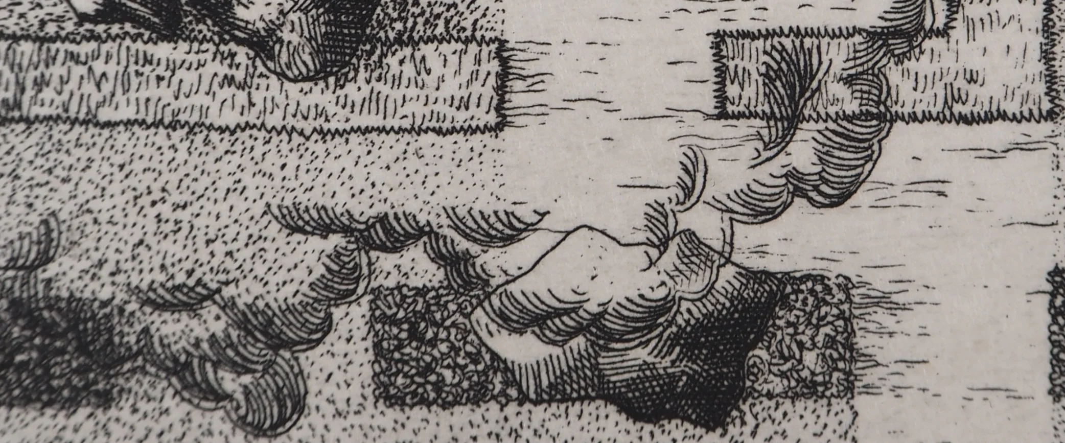 François HOUTIN : Agencement de buissons, Gravure originale signée - Image 6