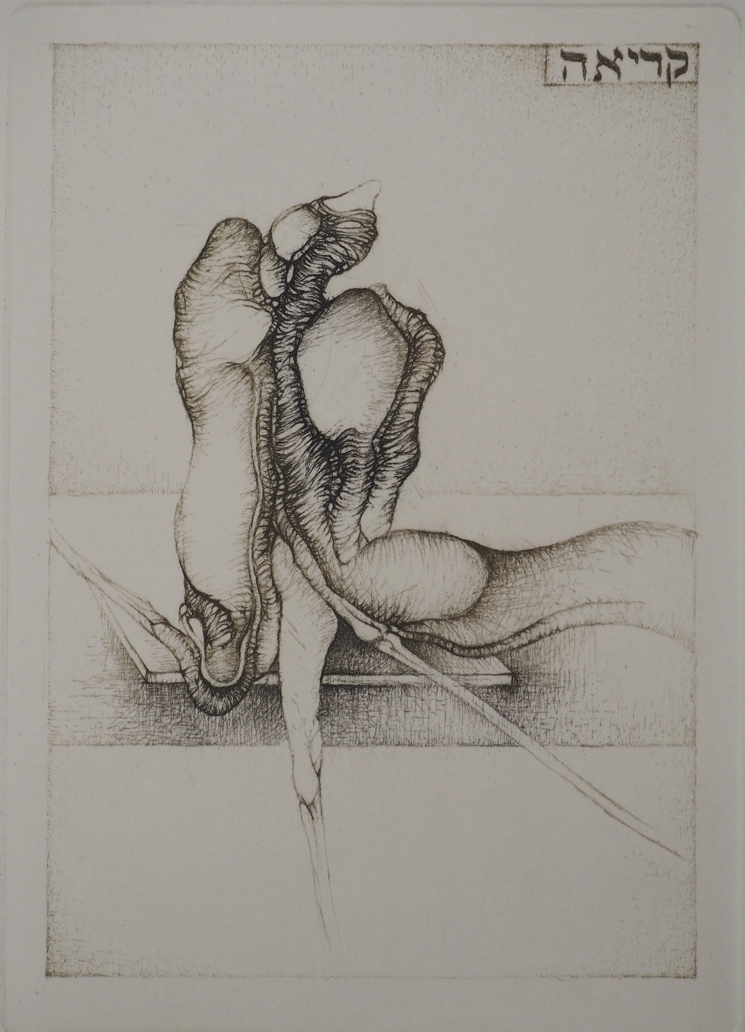 Fred DEUX : Lecture avant le matin, Gravure originale signée - Image 2