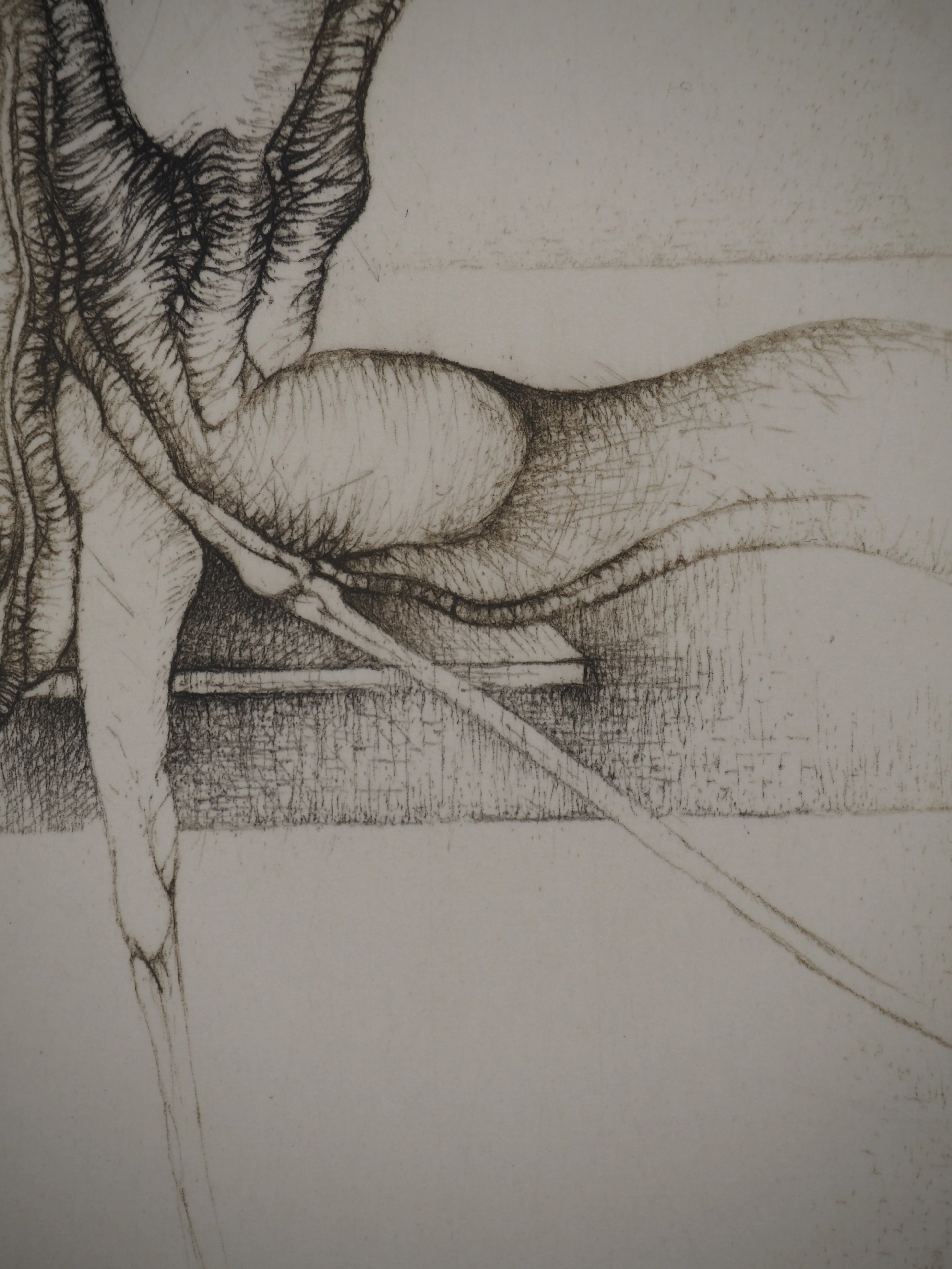 Fred DEUX : Lecture avant le matin, Gravure originale signée - Image 6
