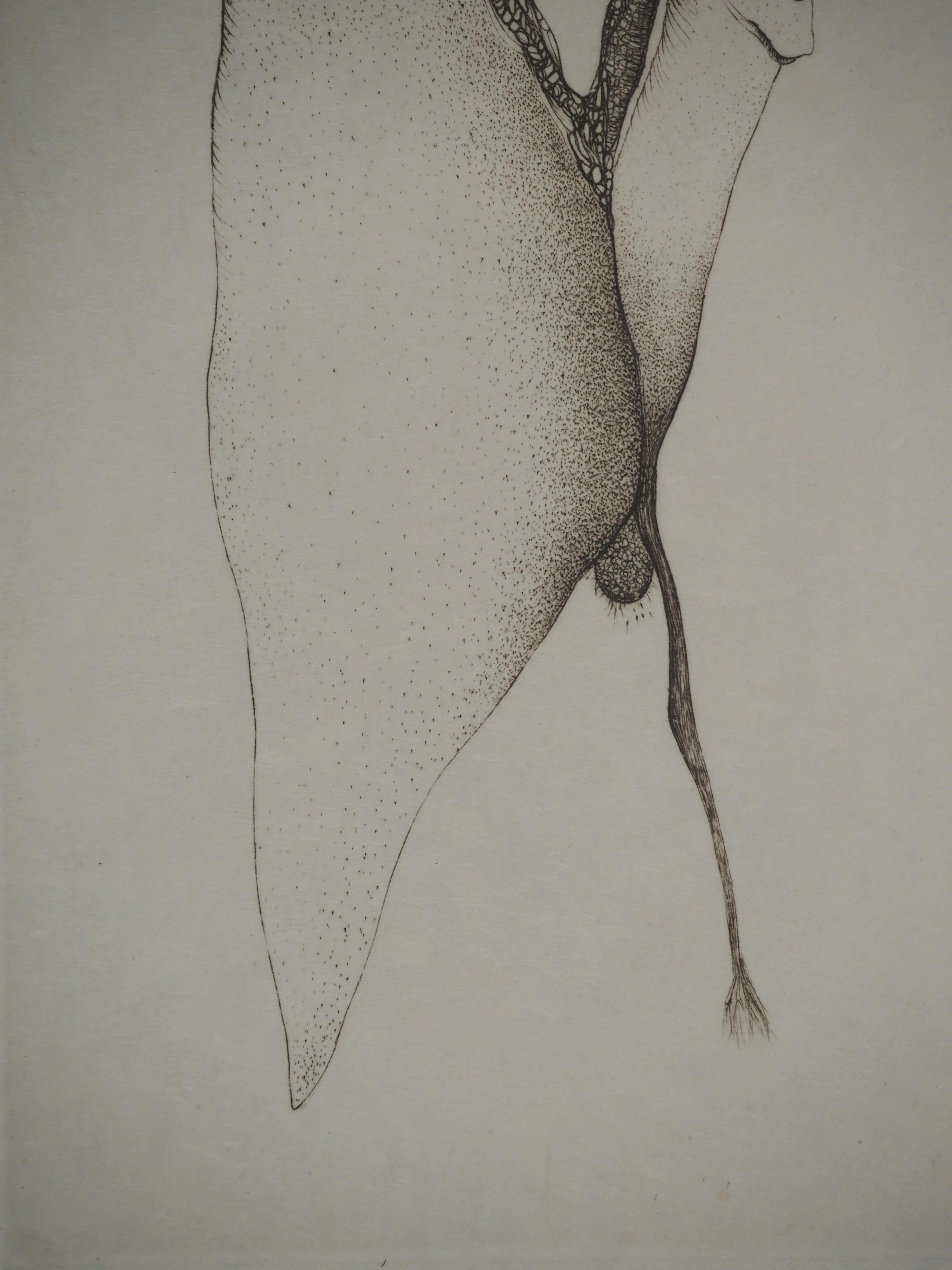Fred DEUX : Relatif, Gravure originale signée - Image 5