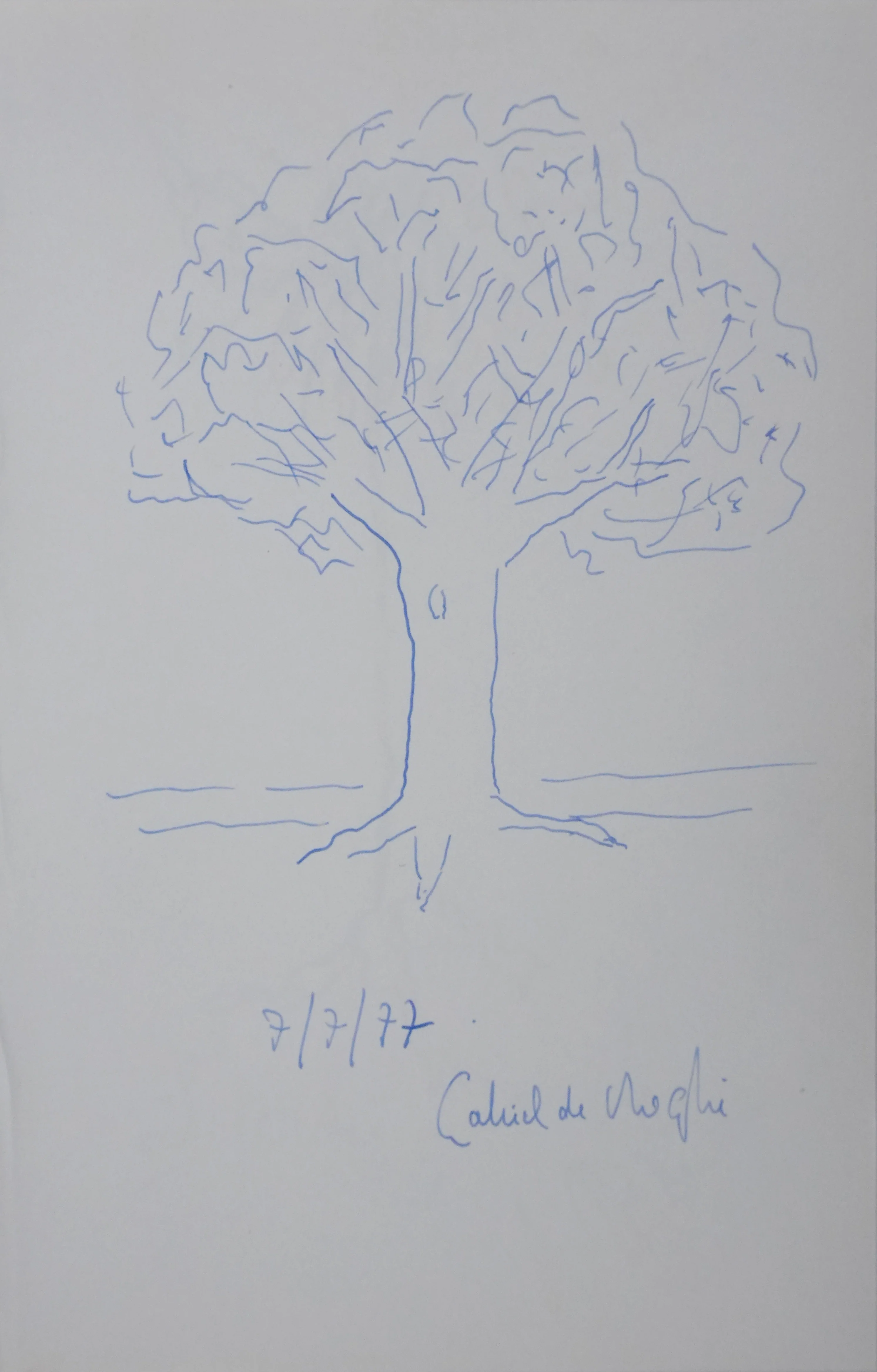 Gabriel DE BROGLIE : L'arbre vivant, Autographe et dessin original signé