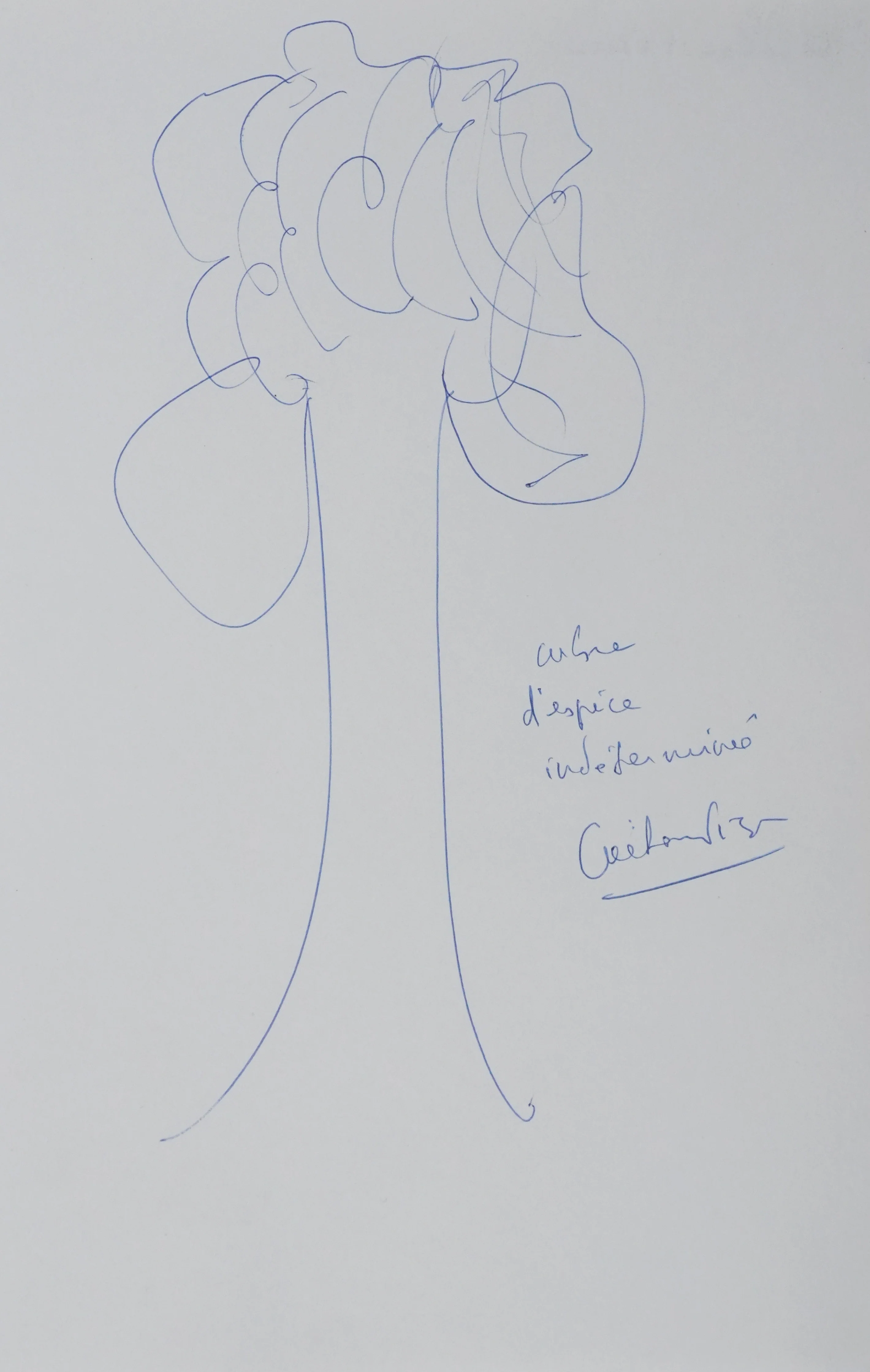 Gaetan PICON : Arbre d'espèce indéterminée, Autographe et dessin original signé