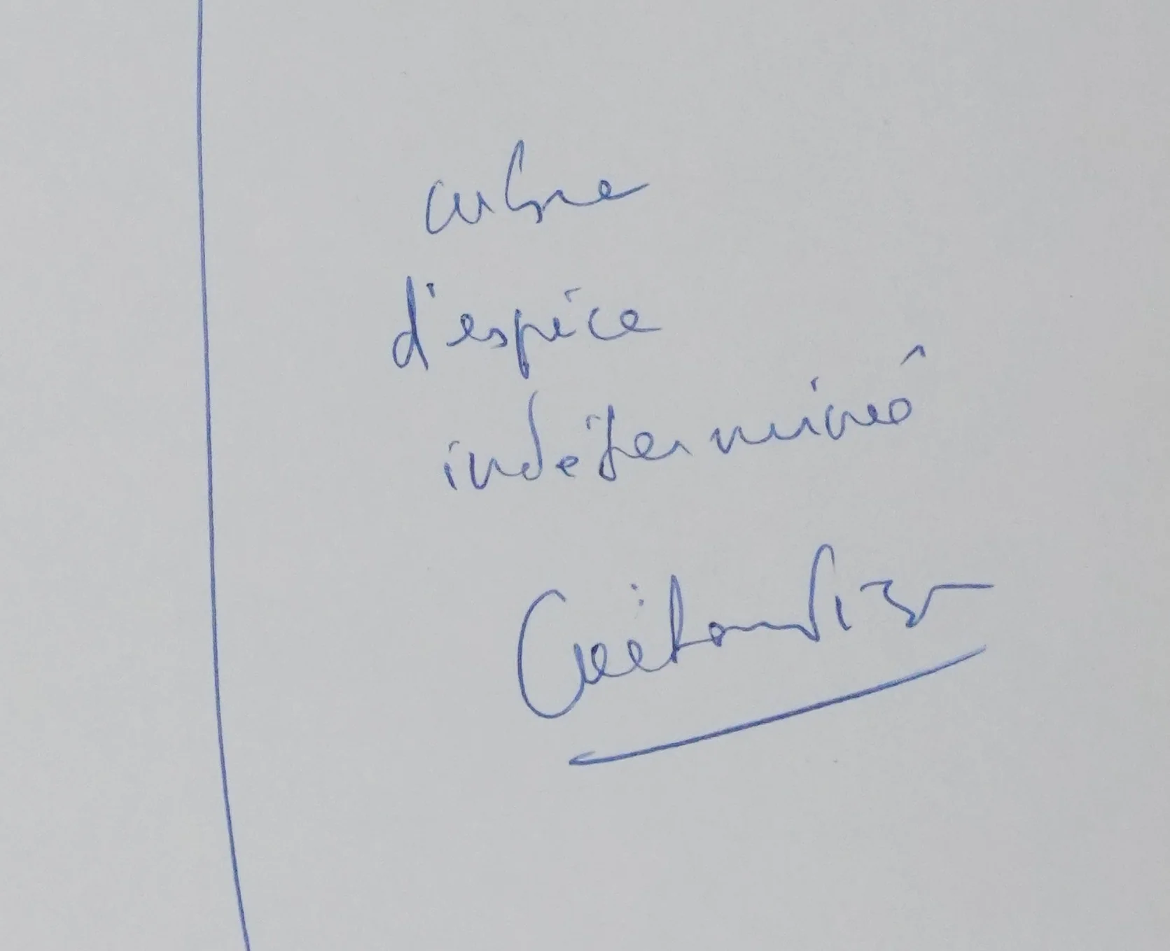 Gaetan PICON : Arbre d'espèce indéterminée, Autographe et dessin original signé - Image 2