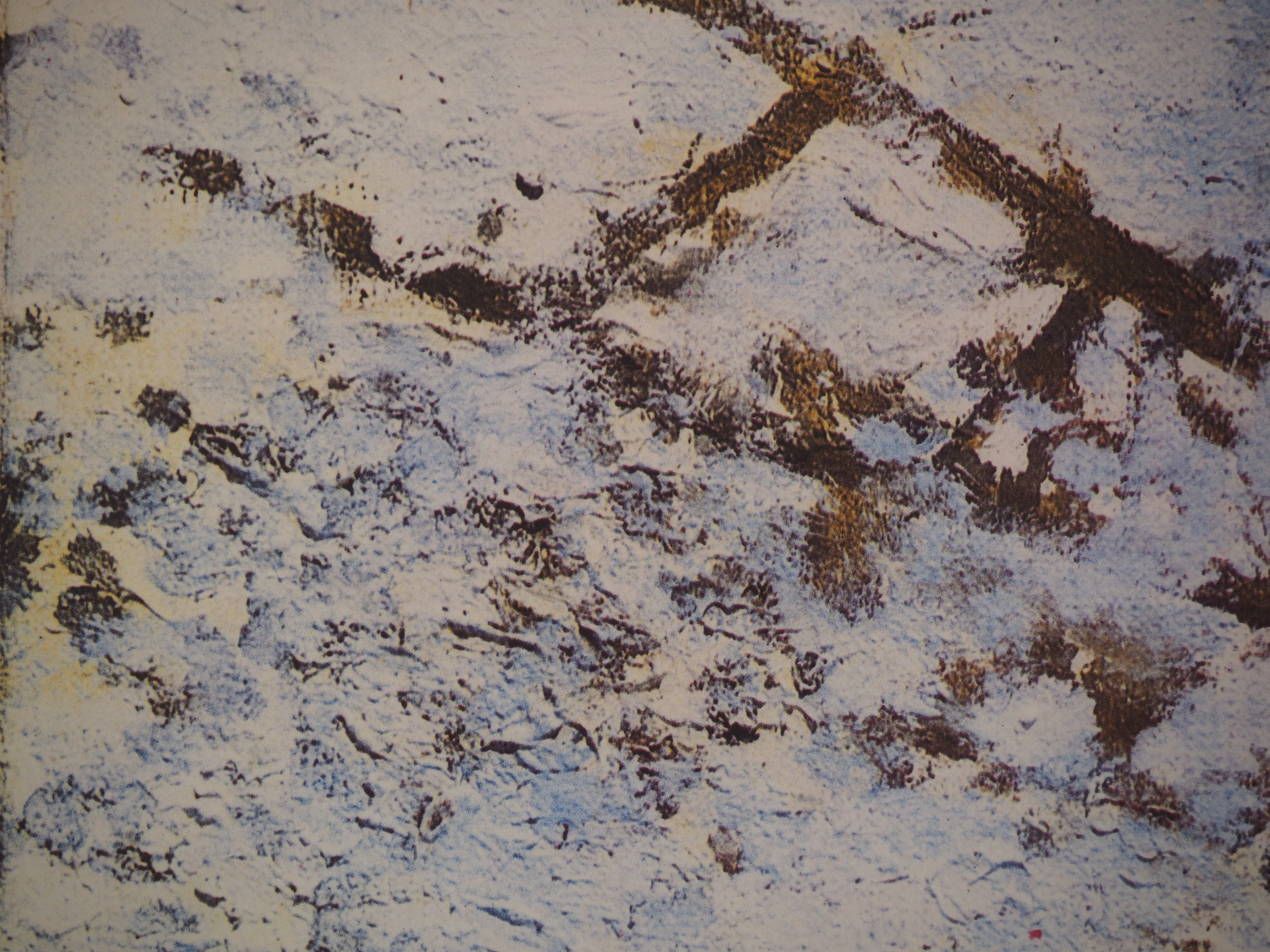 Georges BRAQUE : La charrue, Phototypie signée - Image 4