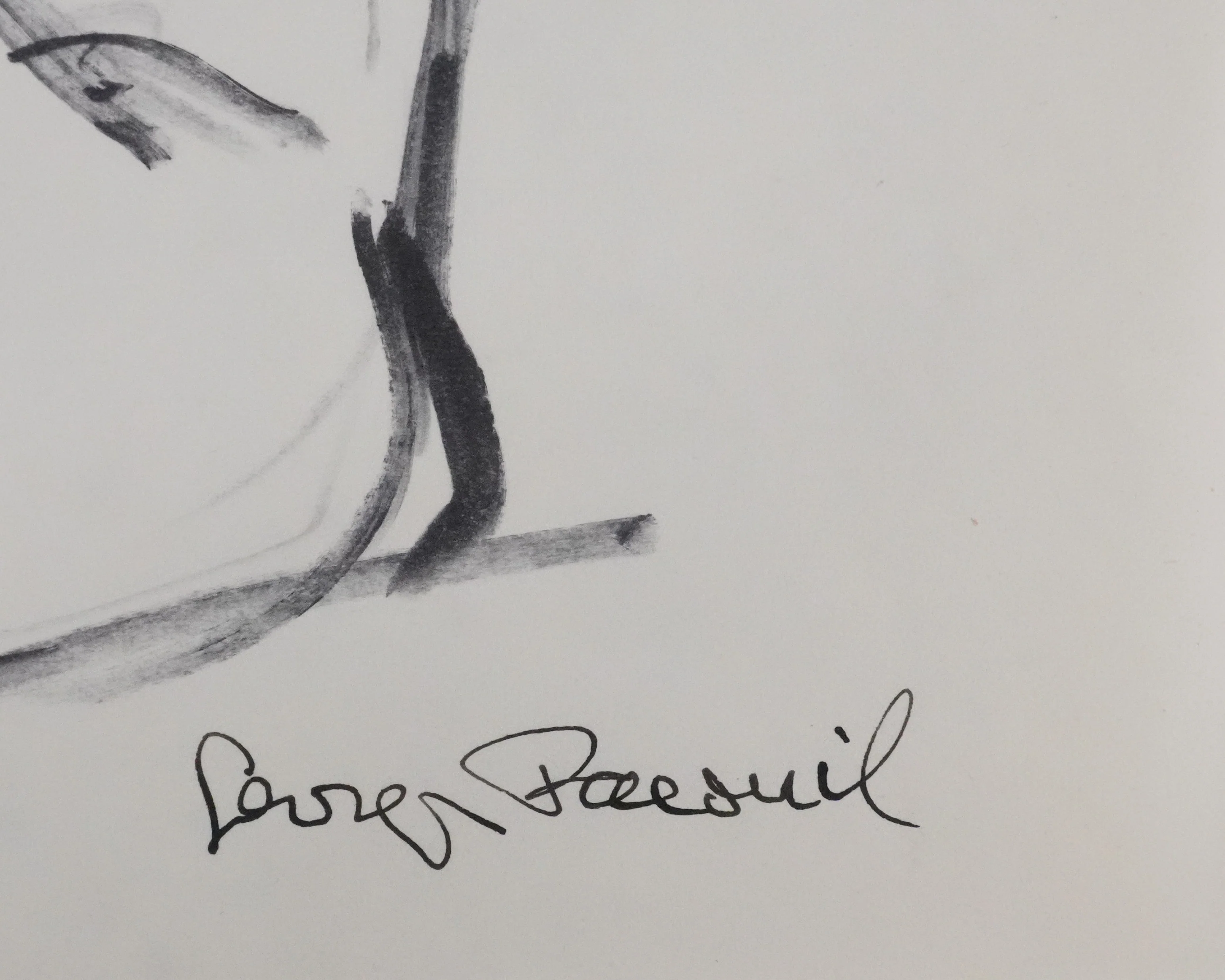 Georges PACOUIL : Courbure nue, Dessin original signé - Image 2