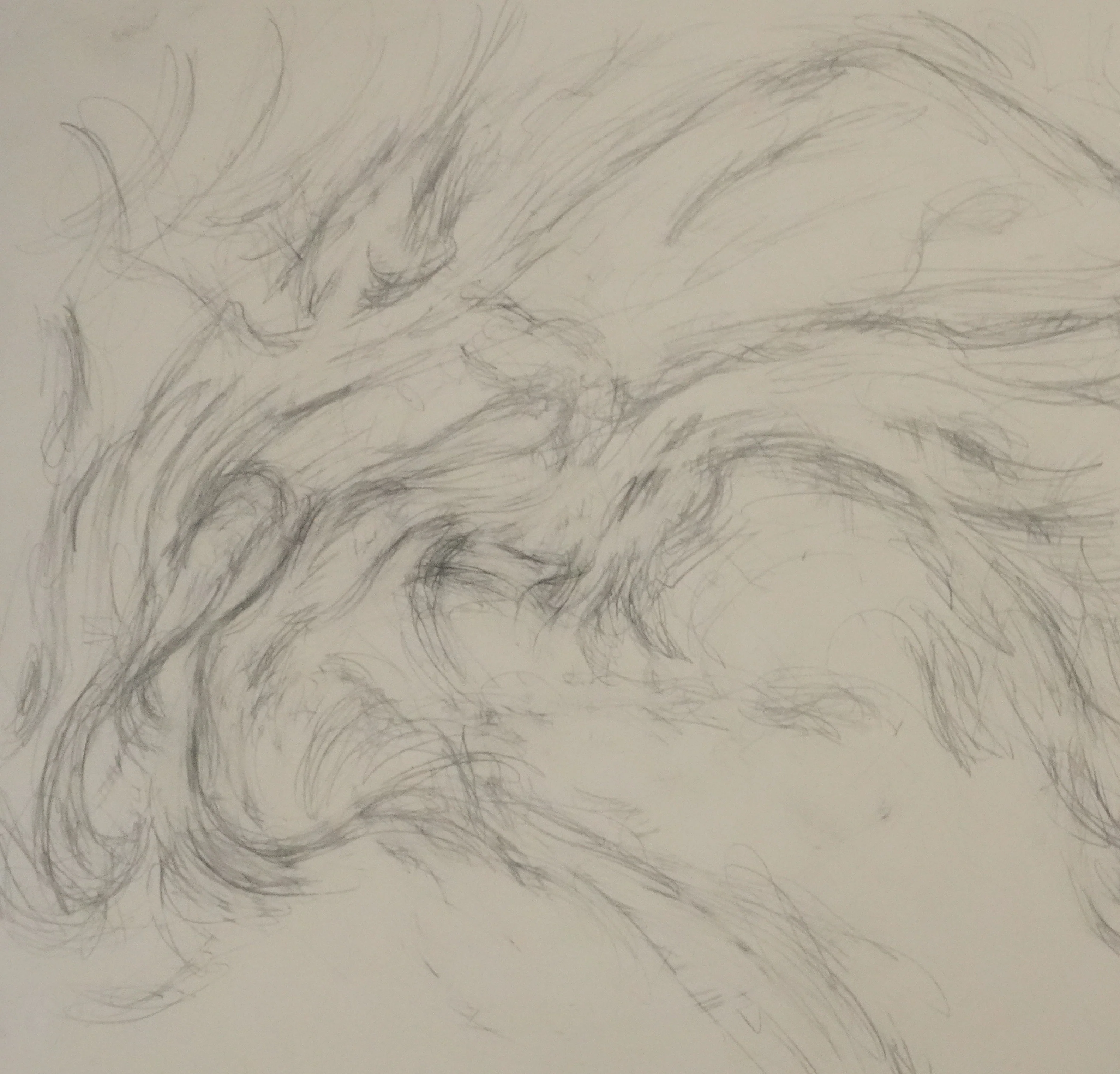 Alberto GIACOMETTI : Les Alpes, Lithographie - Image 3
