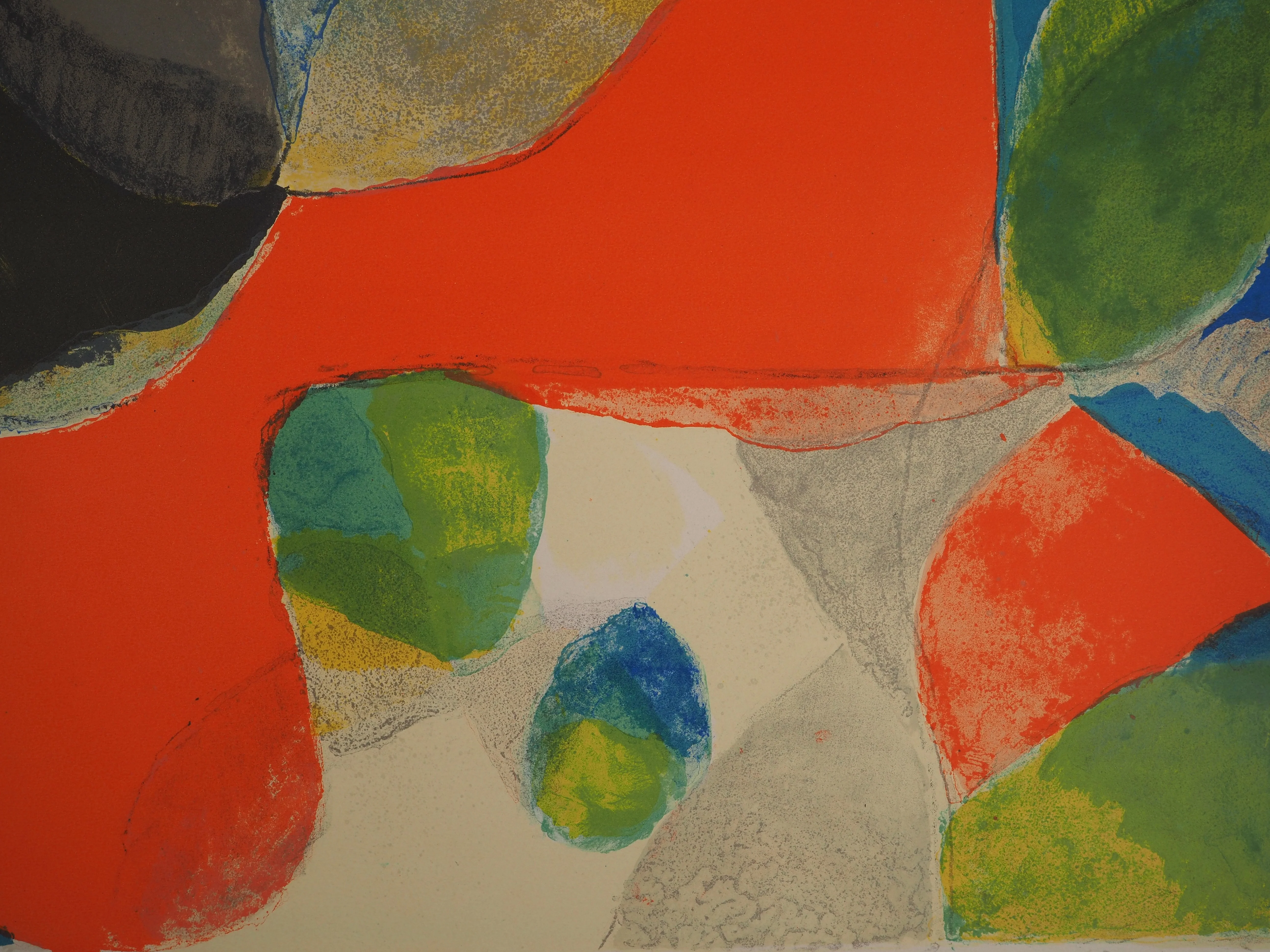 Gustav BOLIN : Explosion chromatique, Lithographie originale signée - Image 5