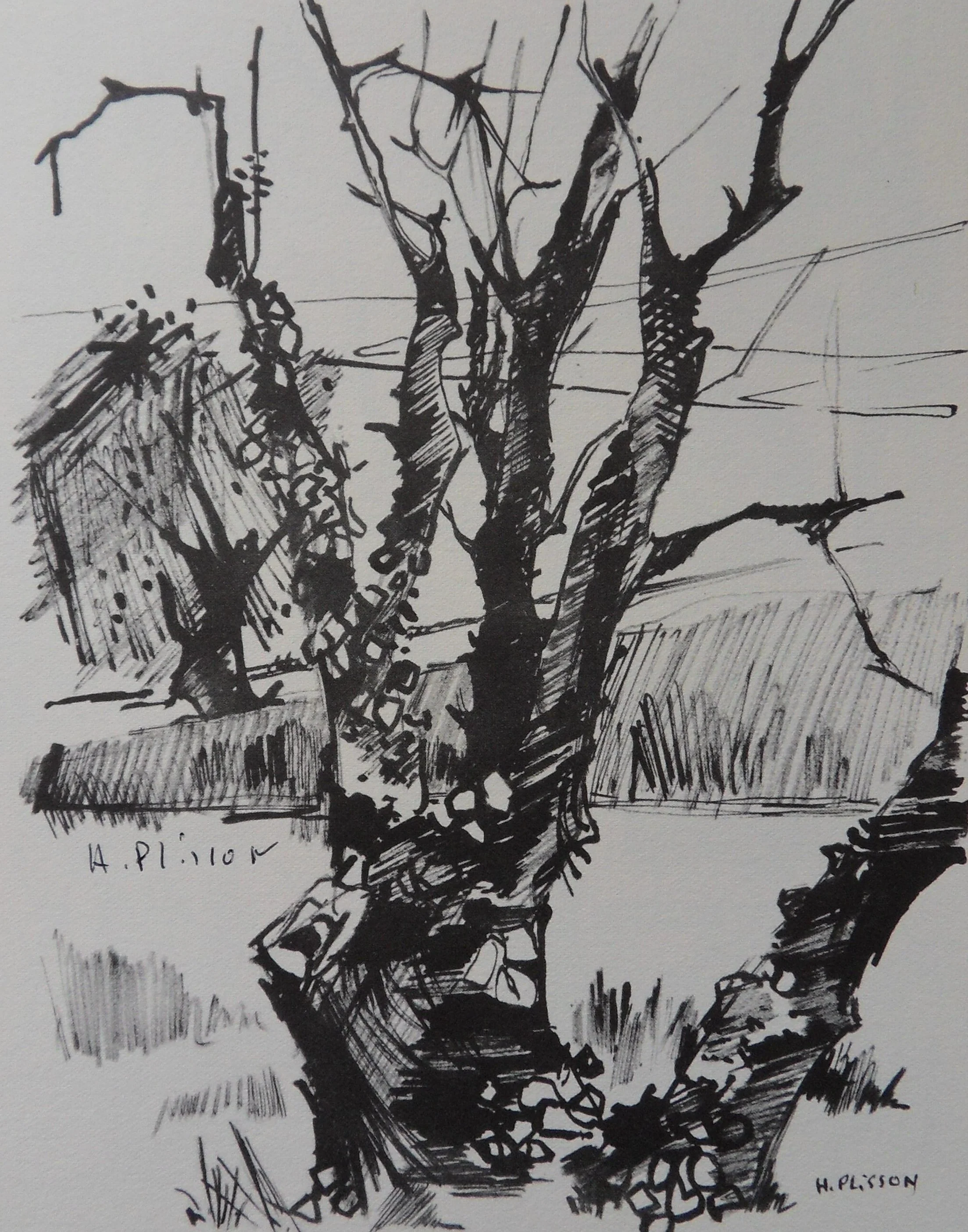 Henri PLISSON : L'arbre en hiver, Héliogravure signée - Image 2