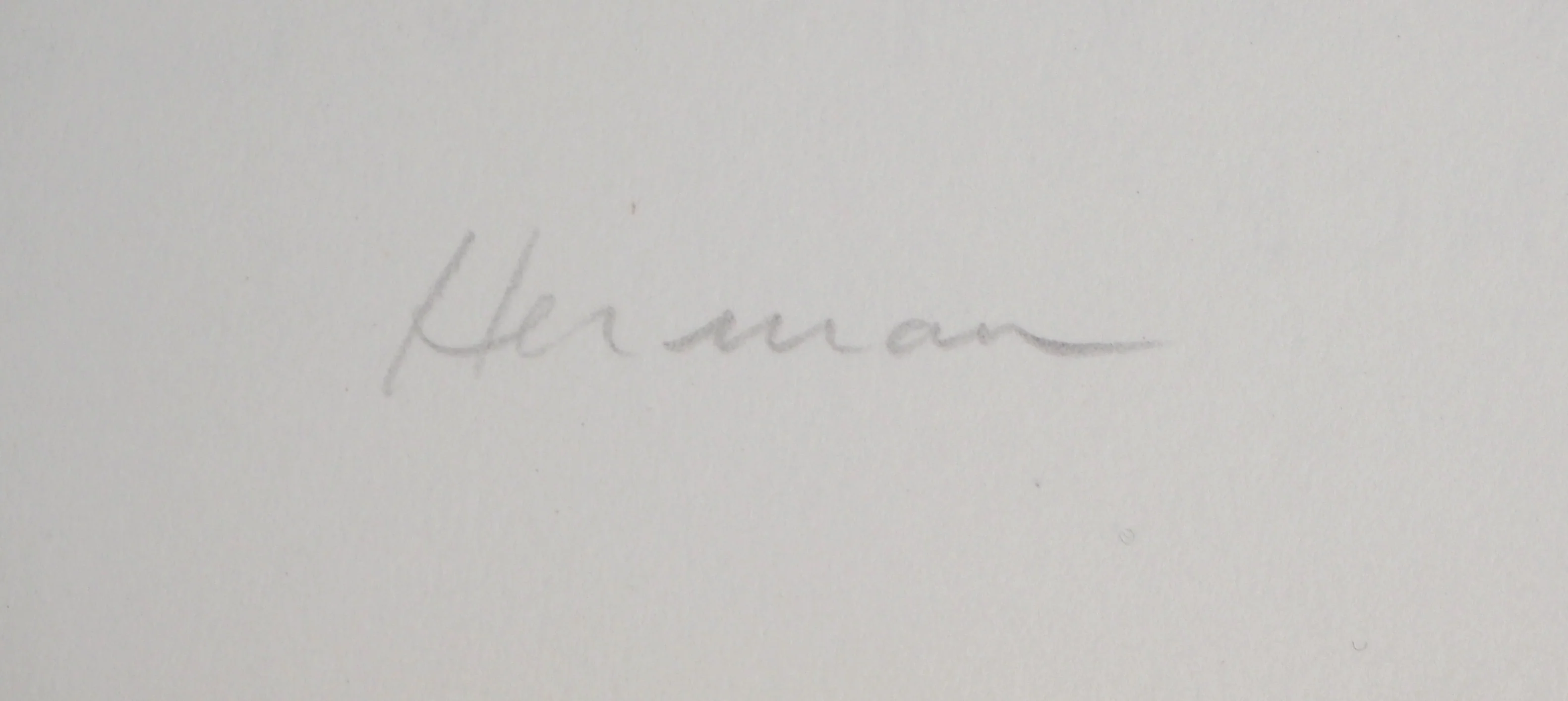Jean-Luc HERMAN : Le brasier blanc, Lithographie originale signée - Image 5