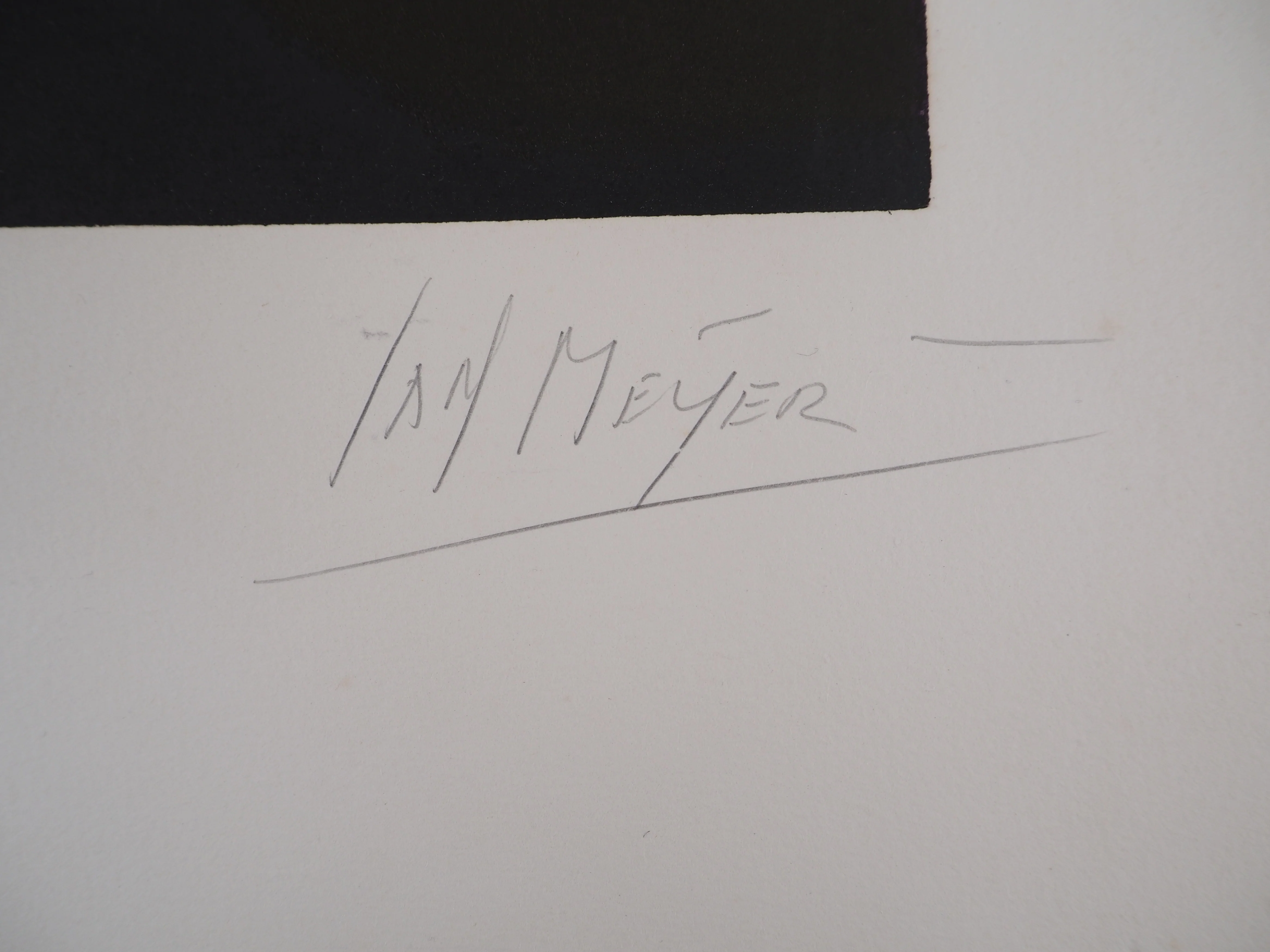 Jan MEIJER : L'immortalité, Gravure originale signée - Image 10