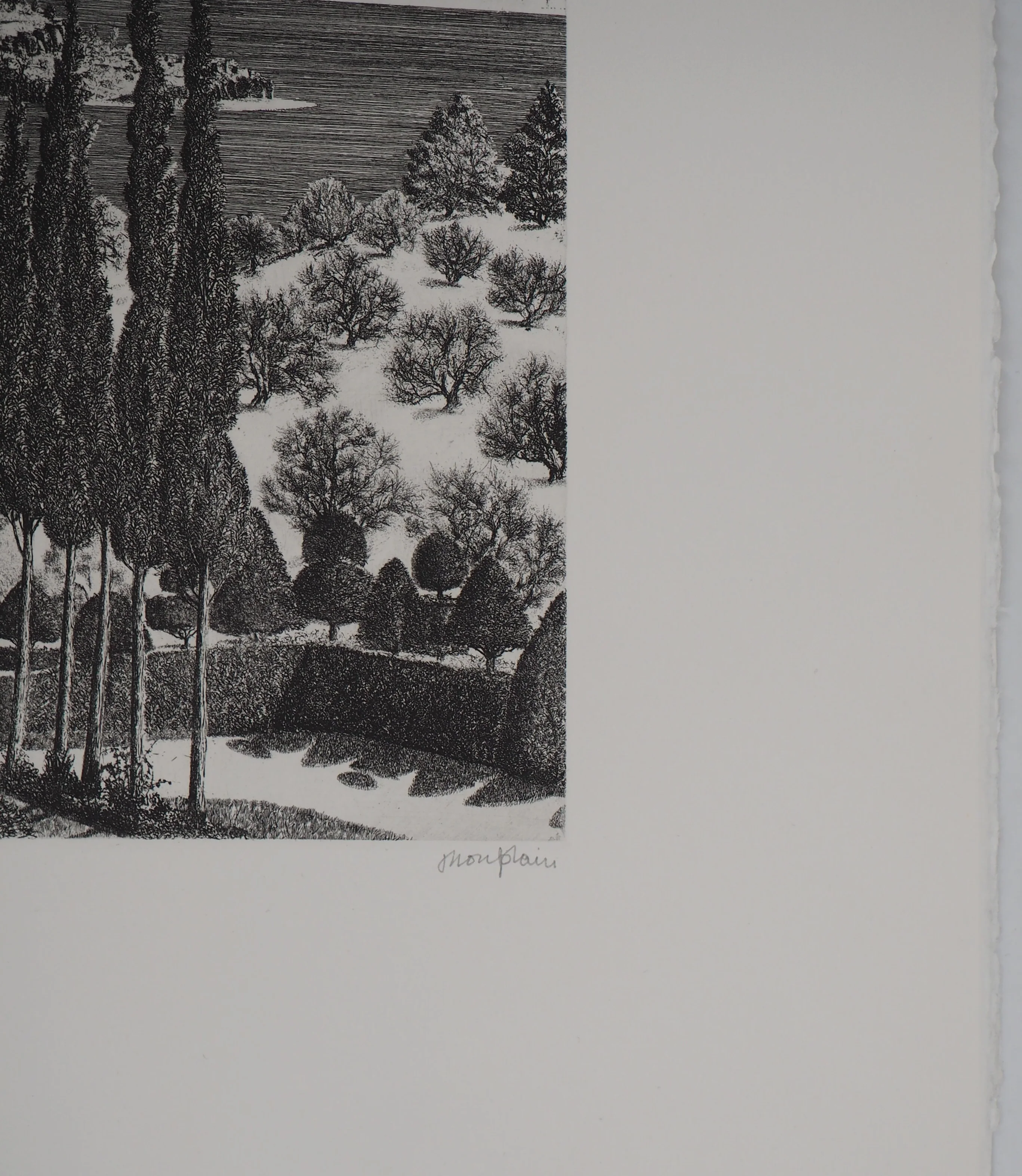 Miniature 2