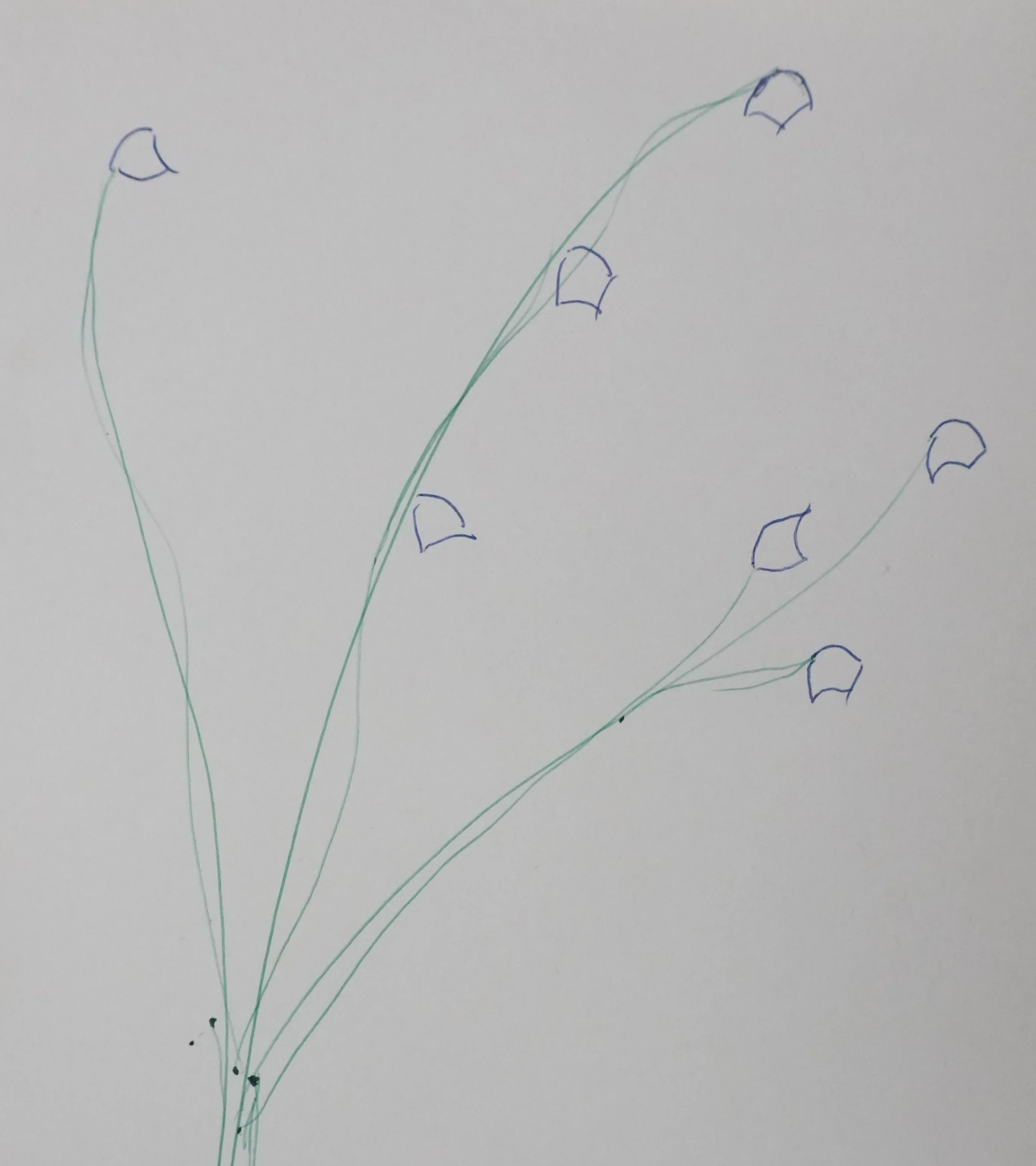 Jean CHALON : Les branches fleuries, Autographe et dessin original signé - Image 3