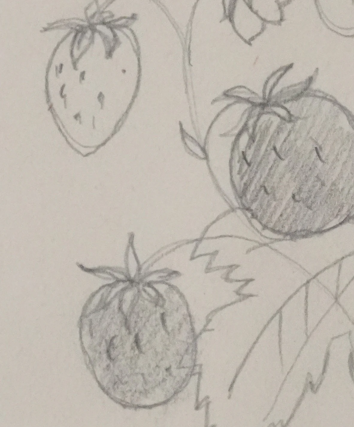 Jean-Emile LABOUREUR : Fraisier, Dessin original - Image 5