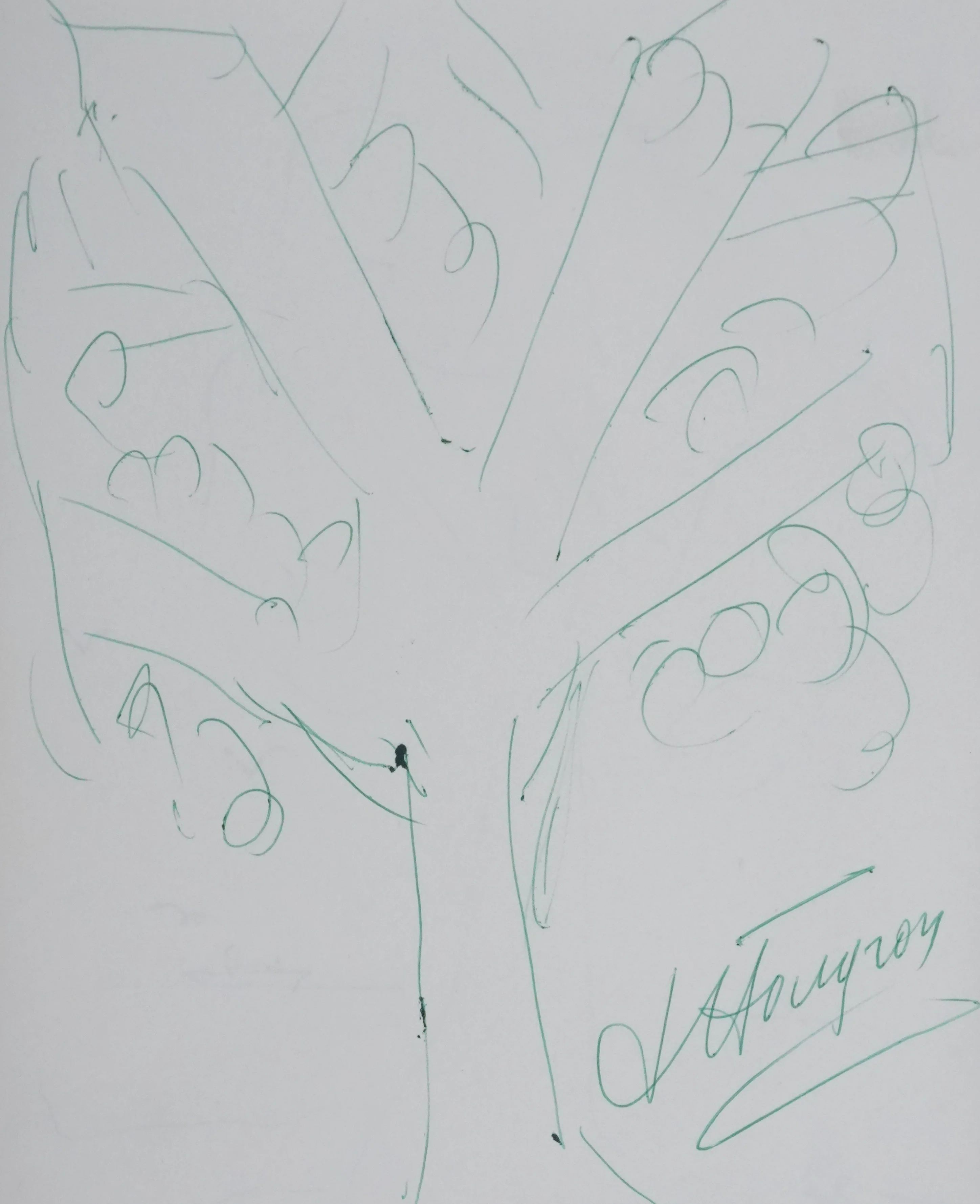 Jean HOUGRON : L'arbre vert, Autographe et dessin original signé - Image 2