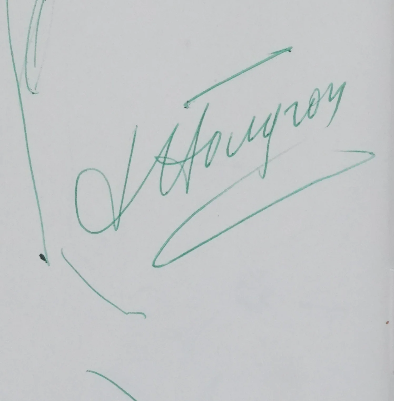 Jean HOUGRON : L'arbre vert, Autographe et dessin original signé - Image 3