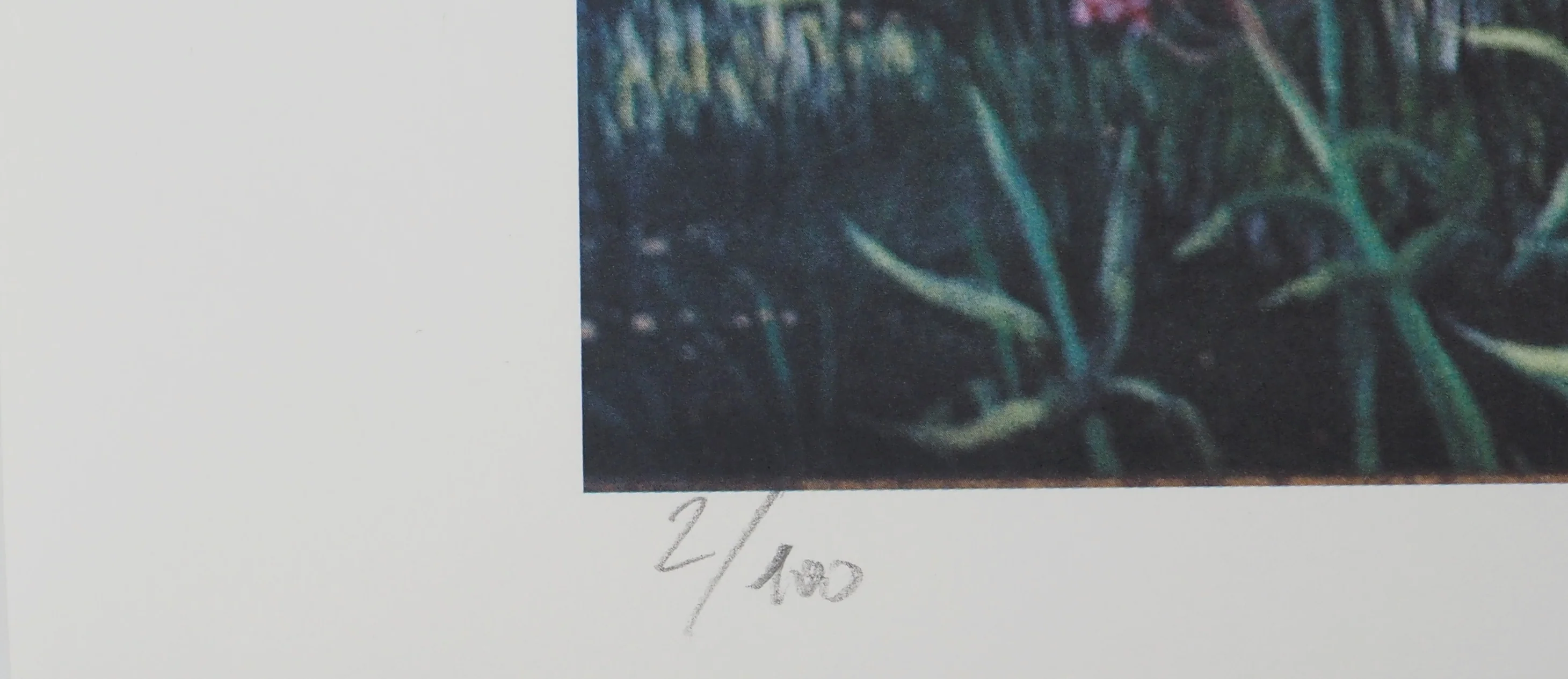Jean MARAIS : Provence, Champs d'oliviers en été, Lithographie signée - Image 7