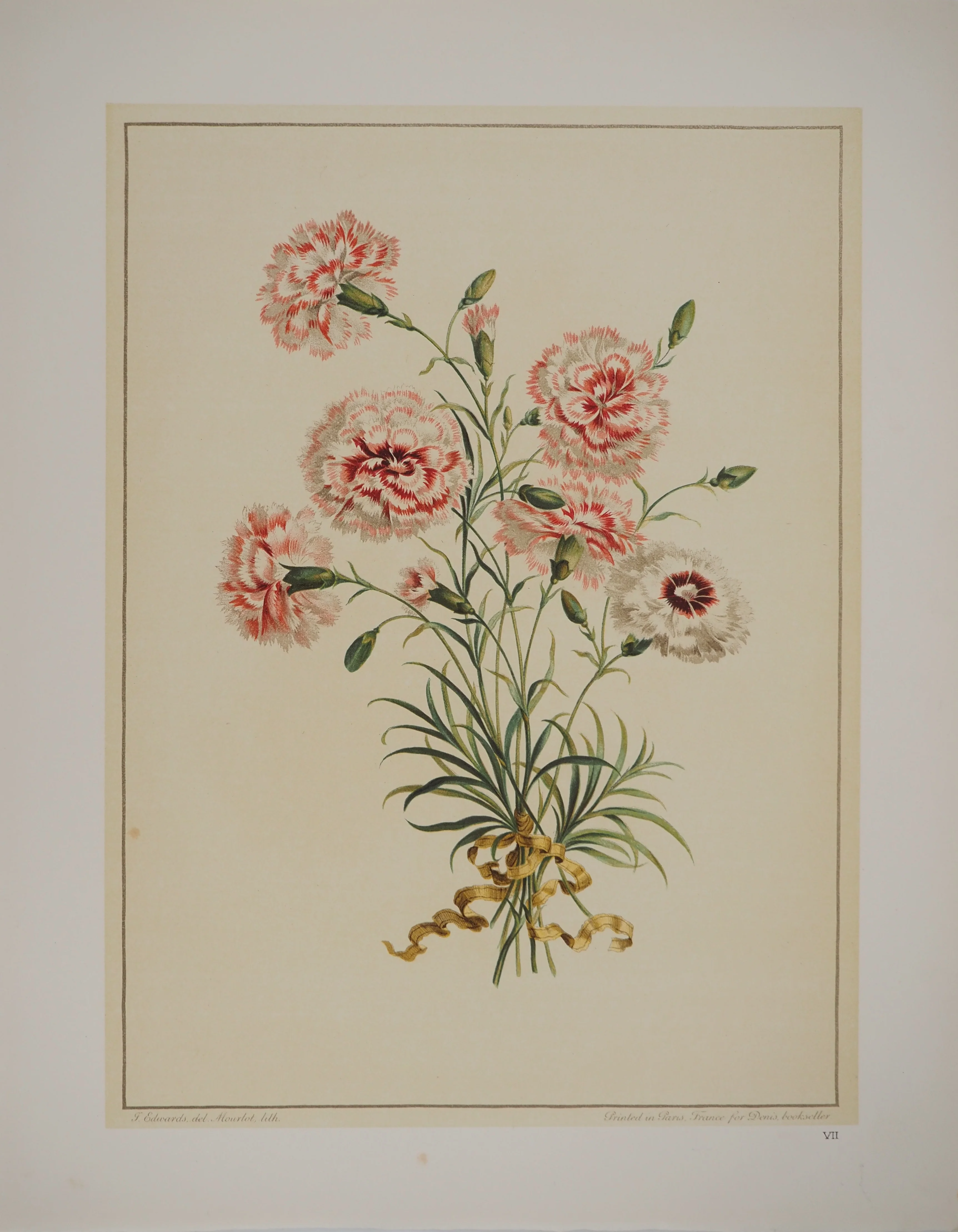 John EDWARDS : Fleurs et Bouquets, Les œillets rouges et blancs, Lithographie signée