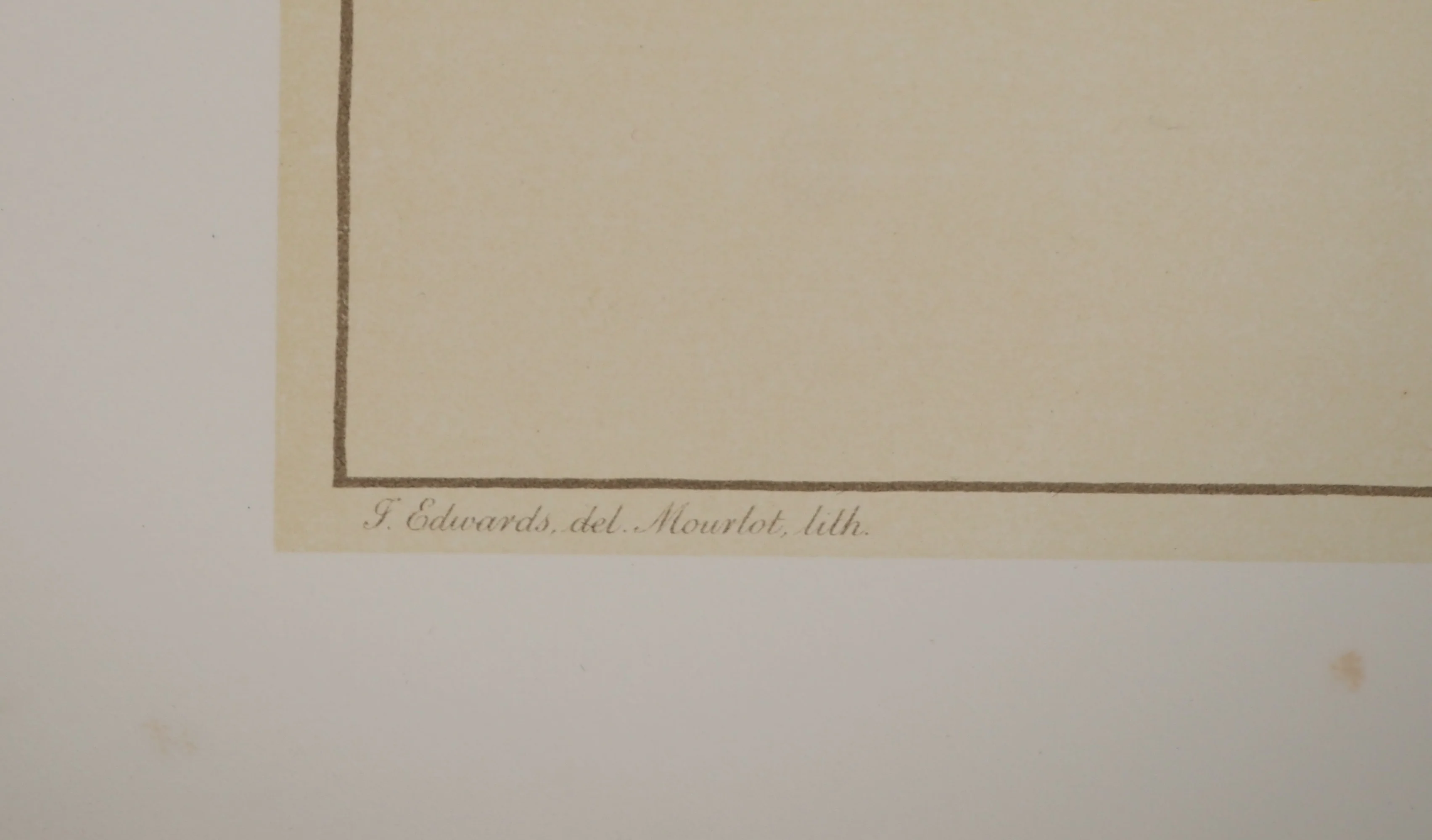 John EDWARDS : Fleurs et Bouquets, Les œillets rouges et blancs, Lithographie signée - Image 2