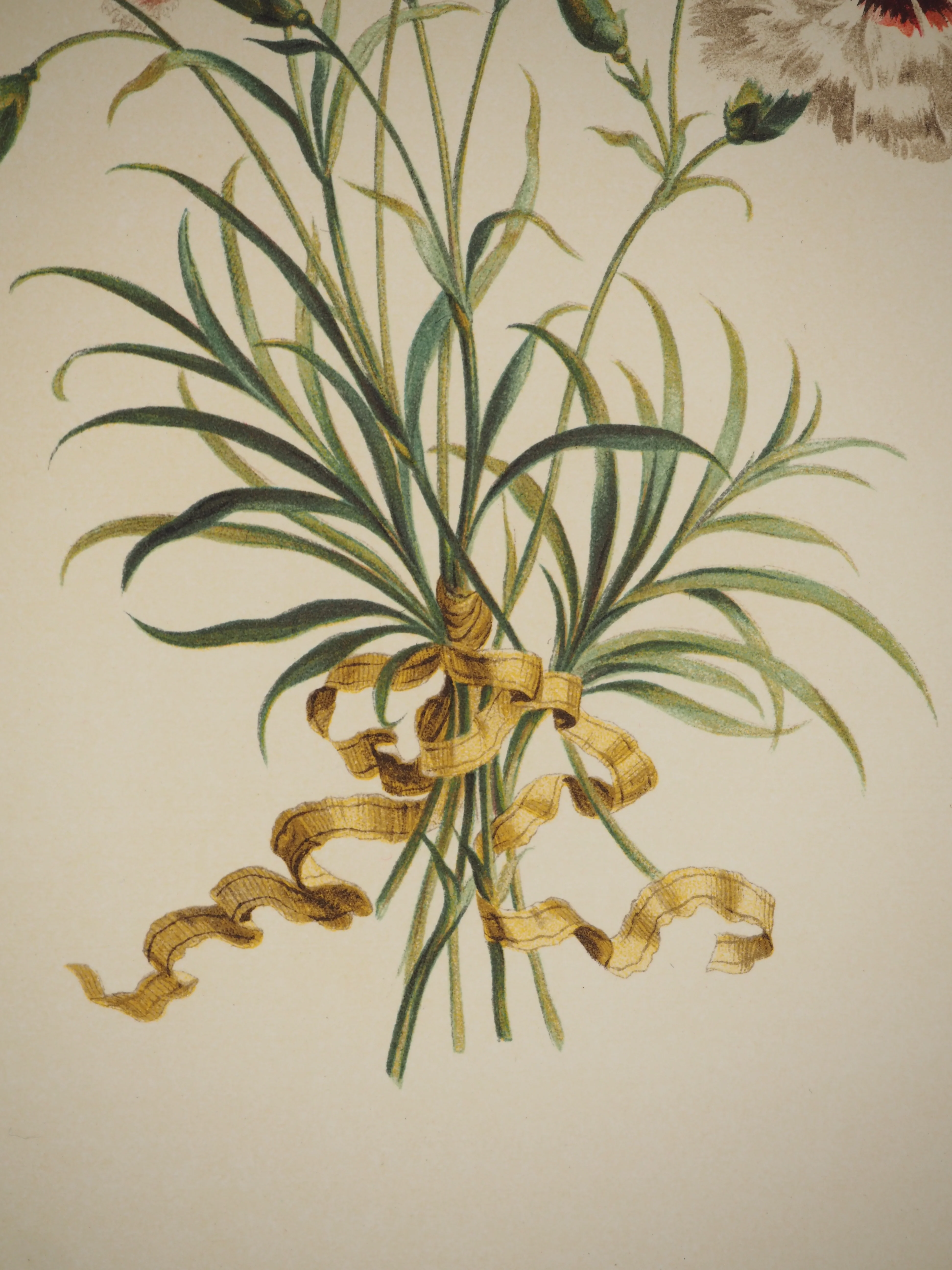 John EDWARDS : Fleurs et Bouquets, Les œillets rouges et blancs, Lithographie signée - Image 5