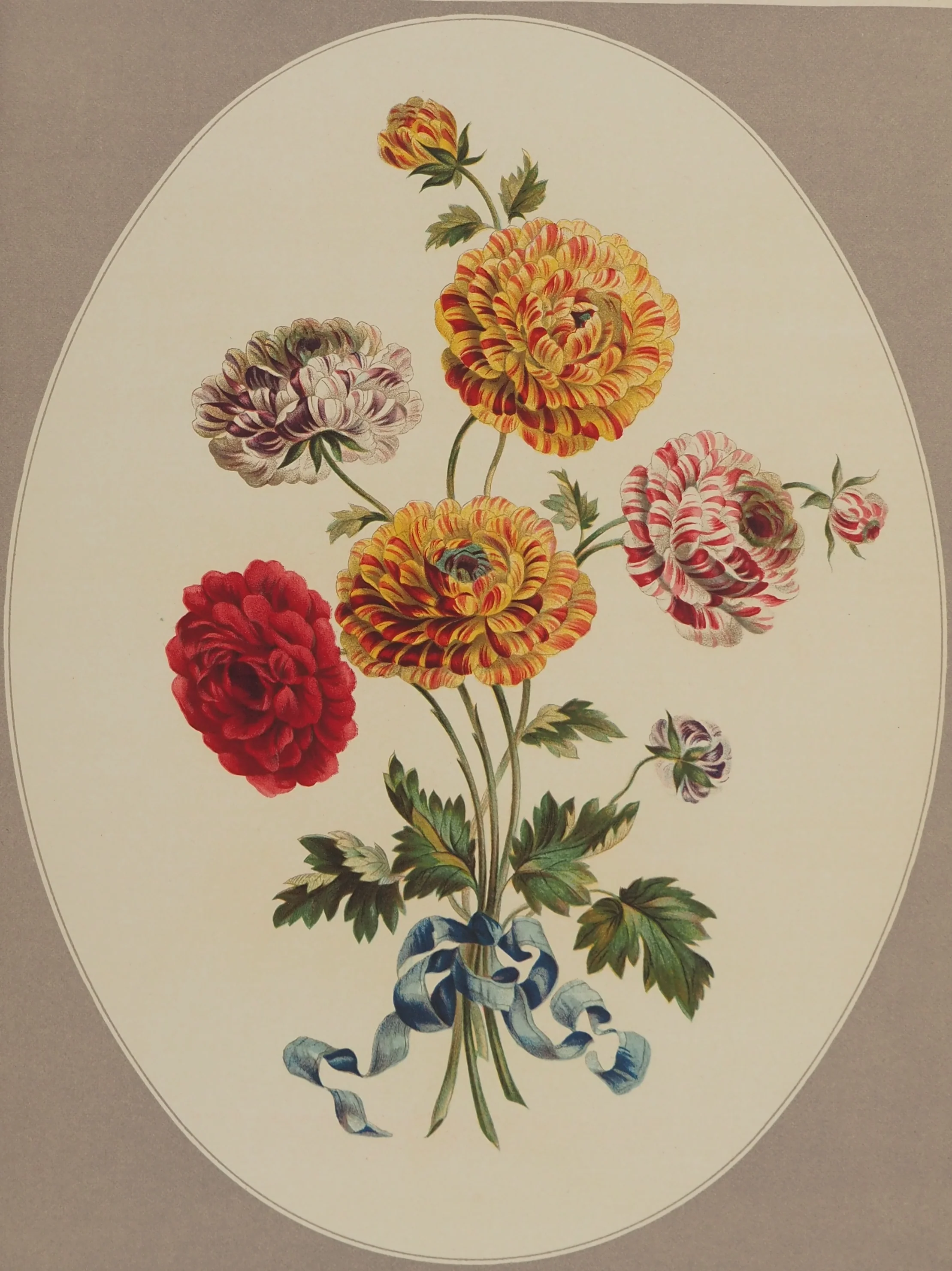 John EDWARDS : Fleurs et Bouquets, Les Renoncules asiatiques, Lithographie signée - Image 2