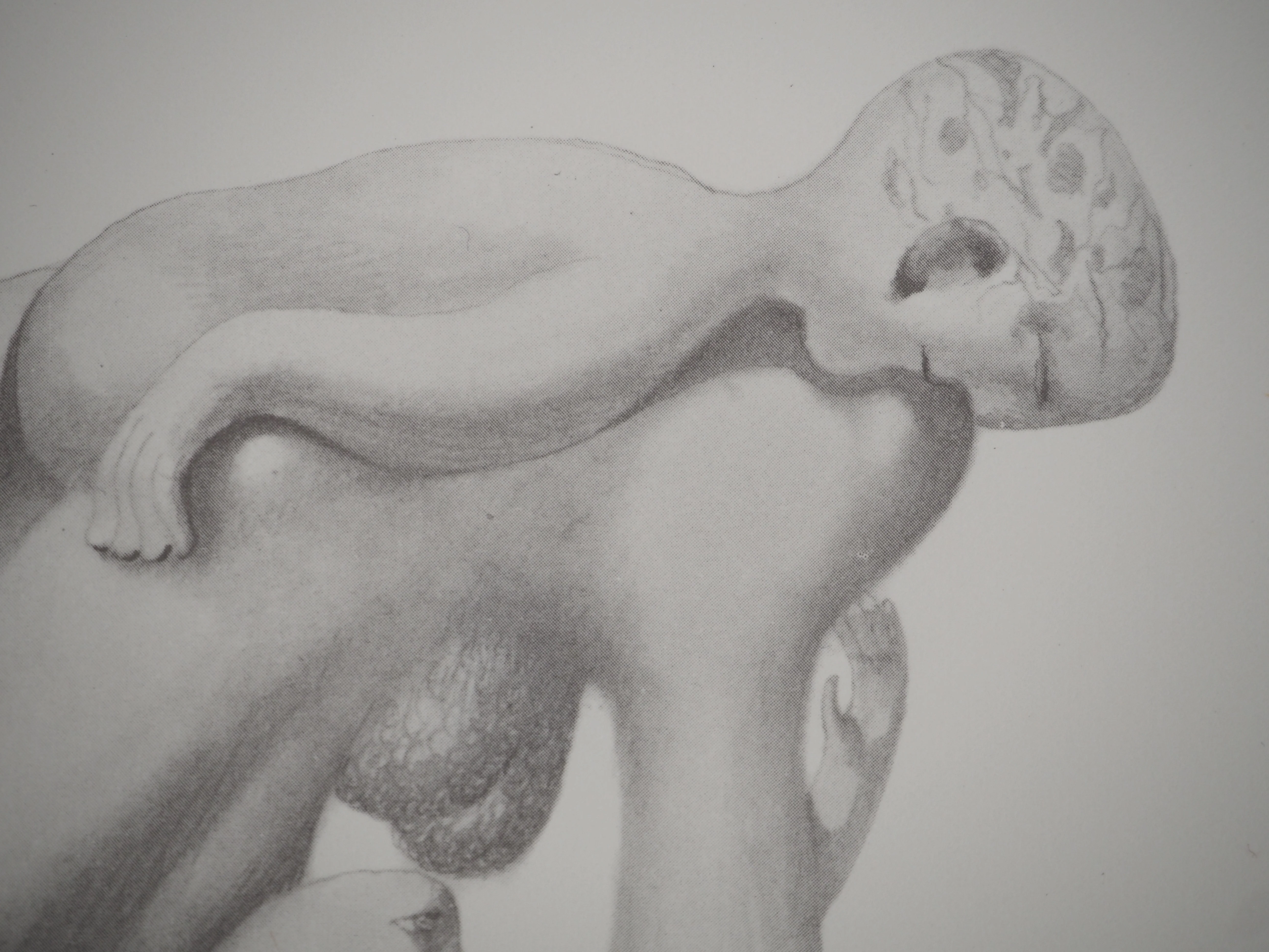 Jules PERAHIM : Nu surréaliste, Héliogravure - Image 4