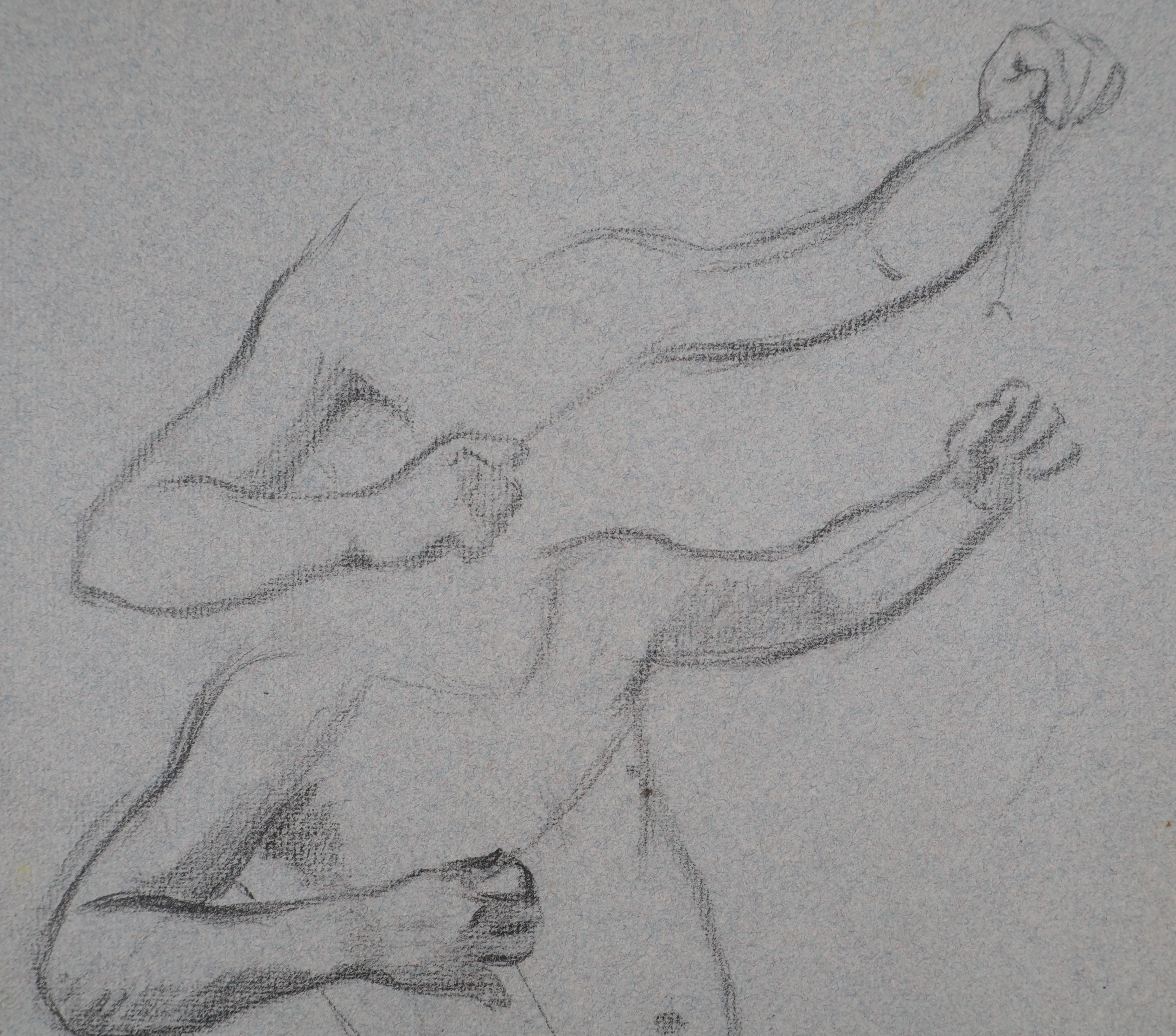 Léopold Franz KOWALSKI : Étude de l'enfant, dessin original - Image 3