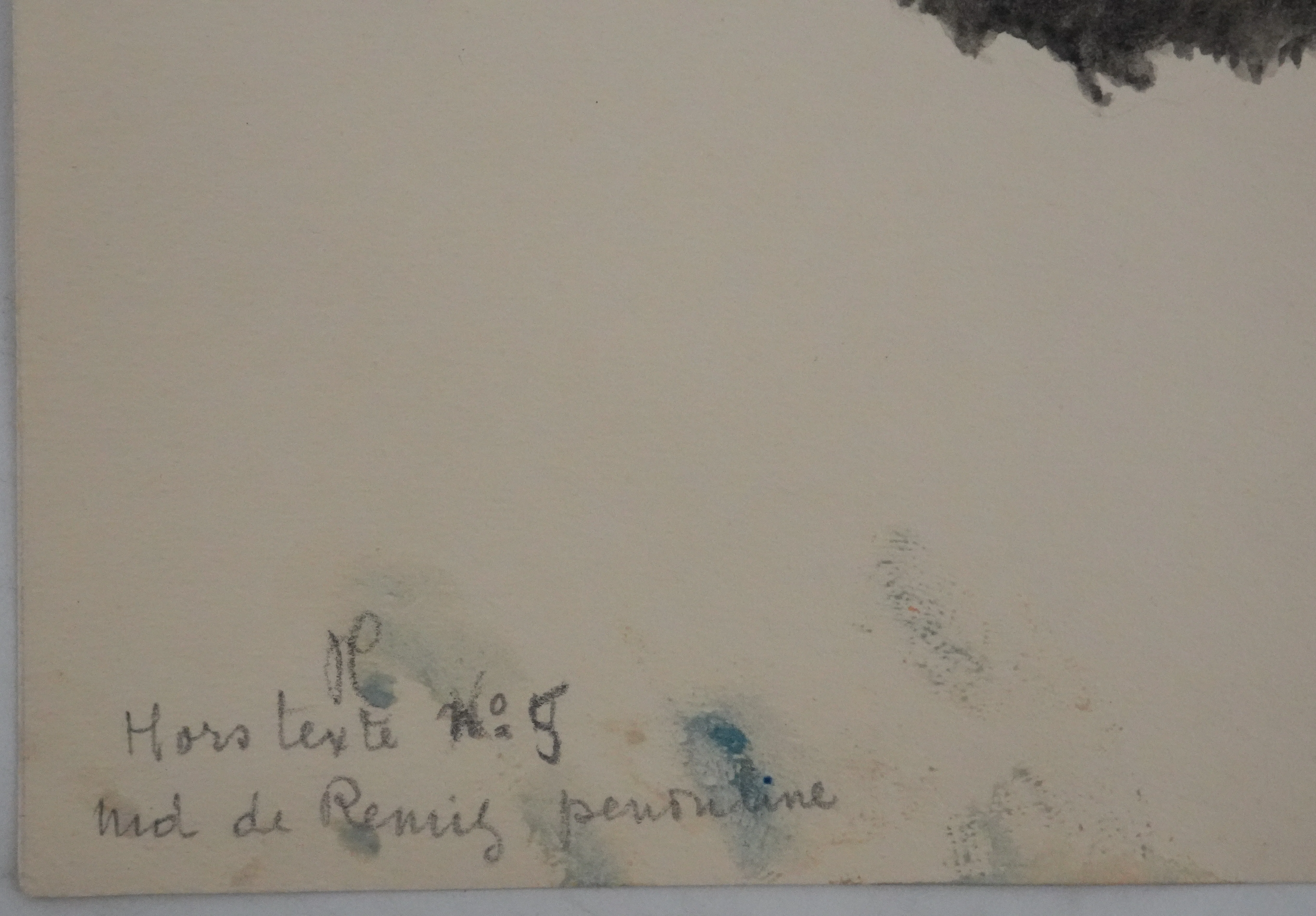 Louis DELAPCHIER : Nid de Rémiz, Aquarelle originale - Image 6
