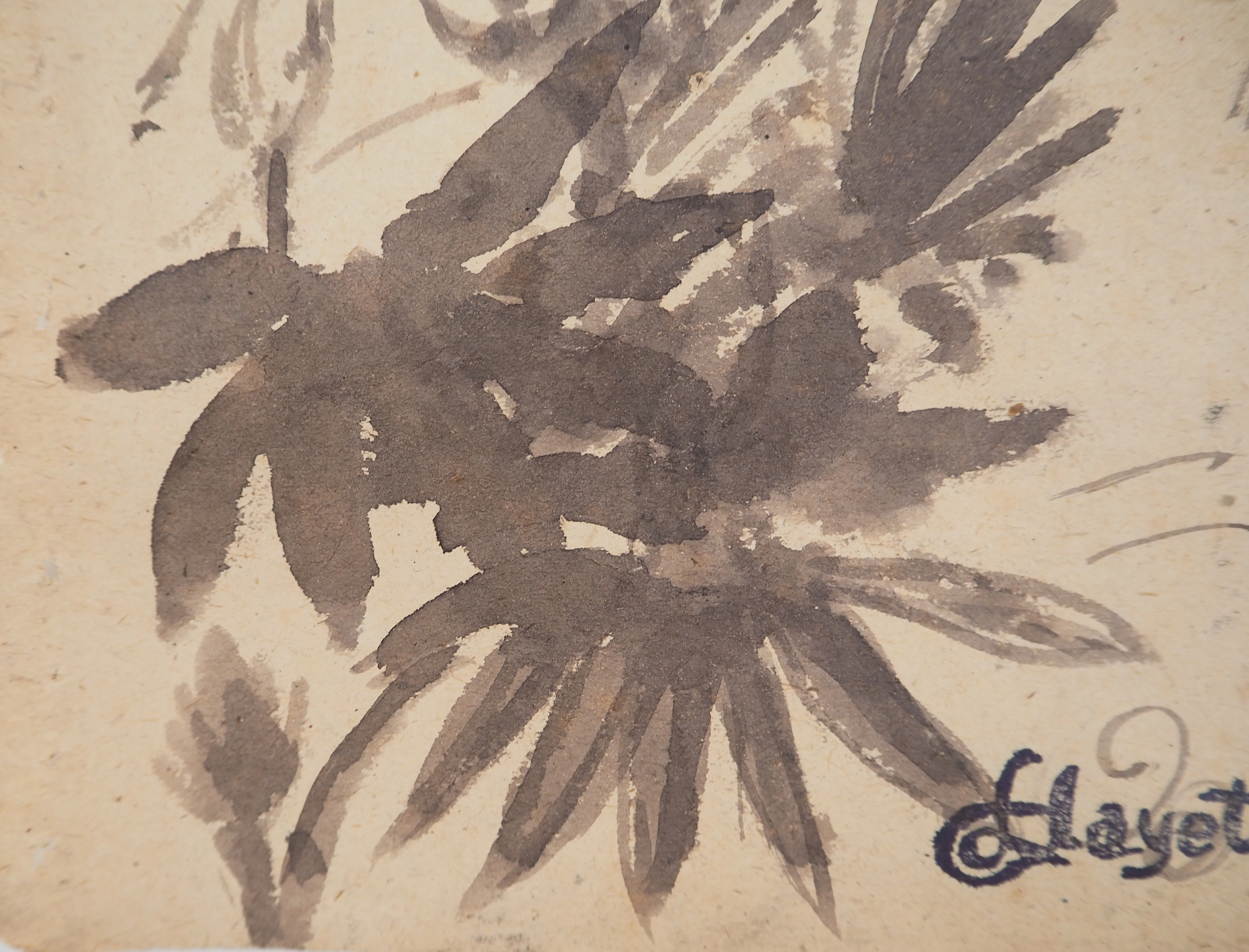 Louis HAYET : Ganesh et feuillages, Dessin original signé - Image 5