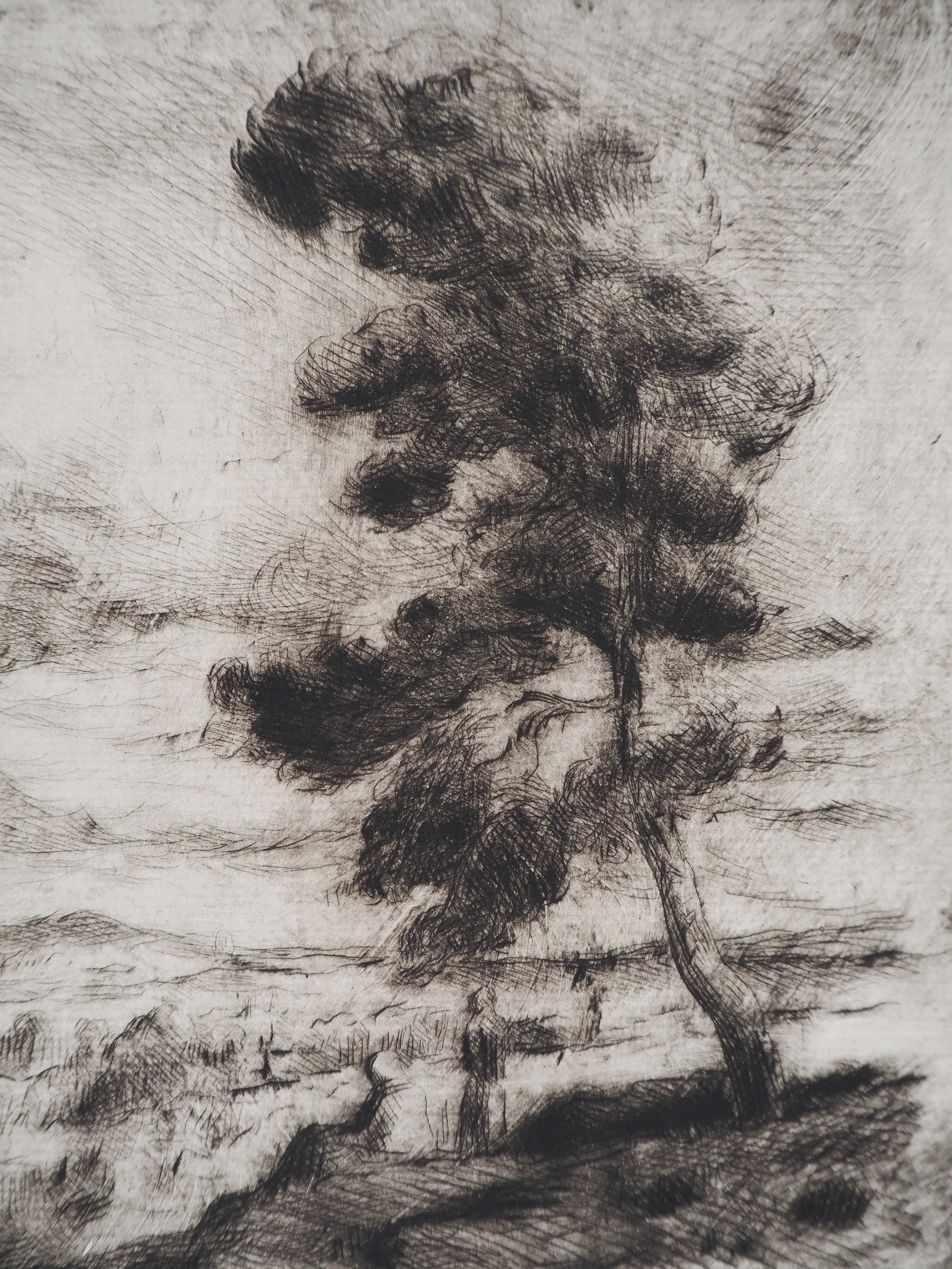 Maximilien LUCE : Paysage de Yonne, Gravure originale signée - Image 4