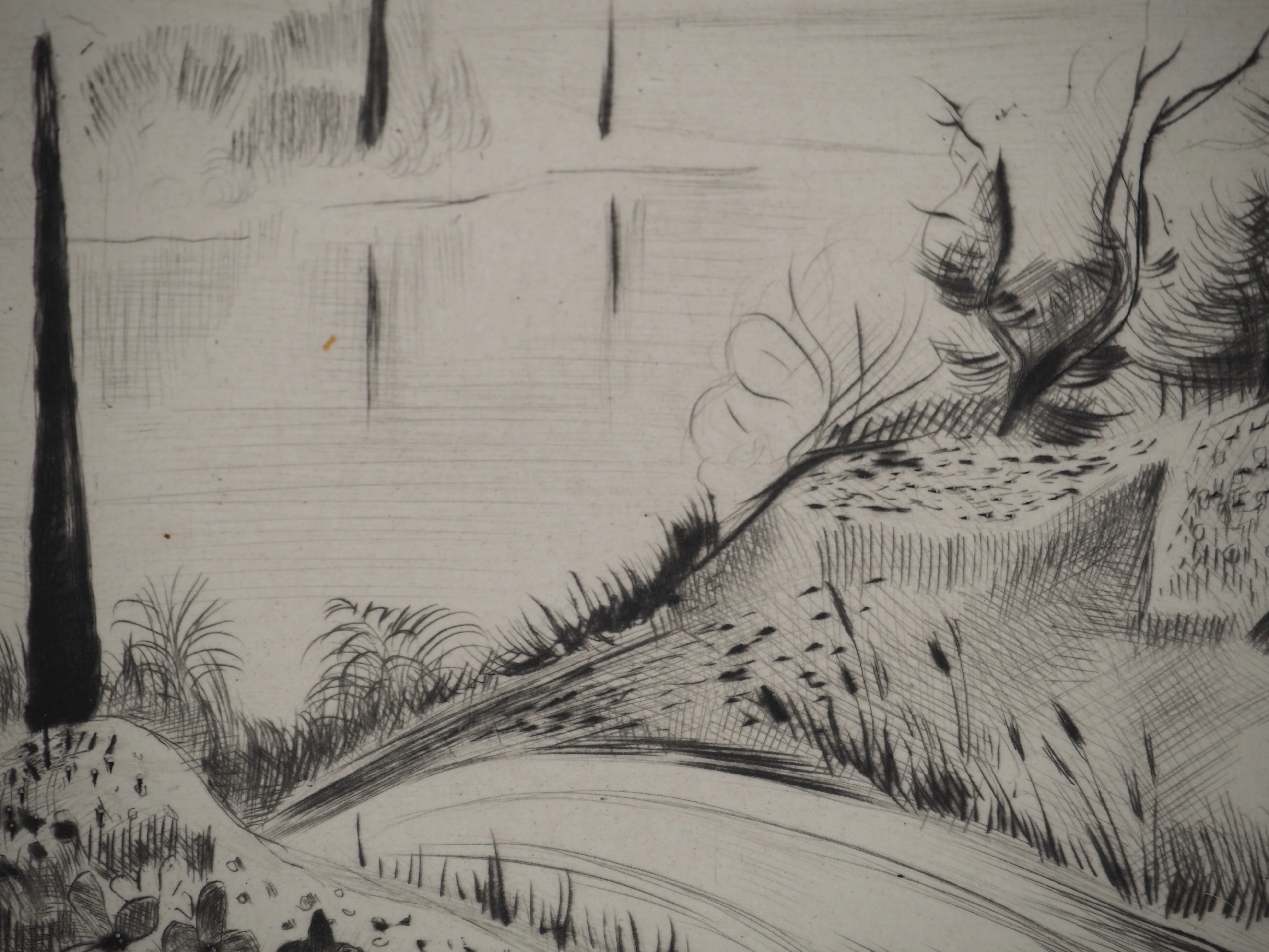 Madeleine MELSONN : Lac de Tibériade le matin, Gravure originale signée - Image 6