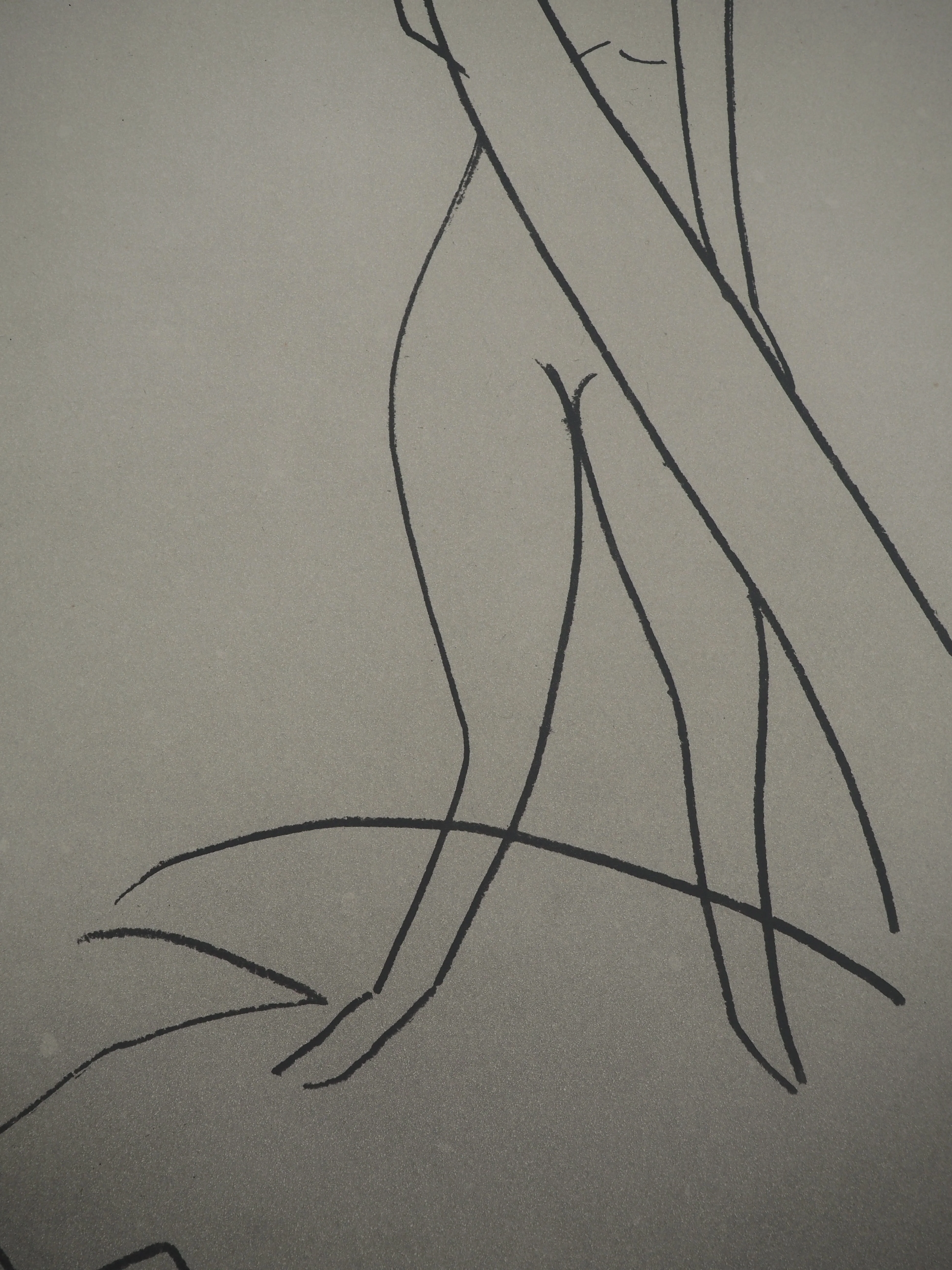 Man RAY : Anatoms, L'étreinte du cygne, Gravure originale signée - Image 7