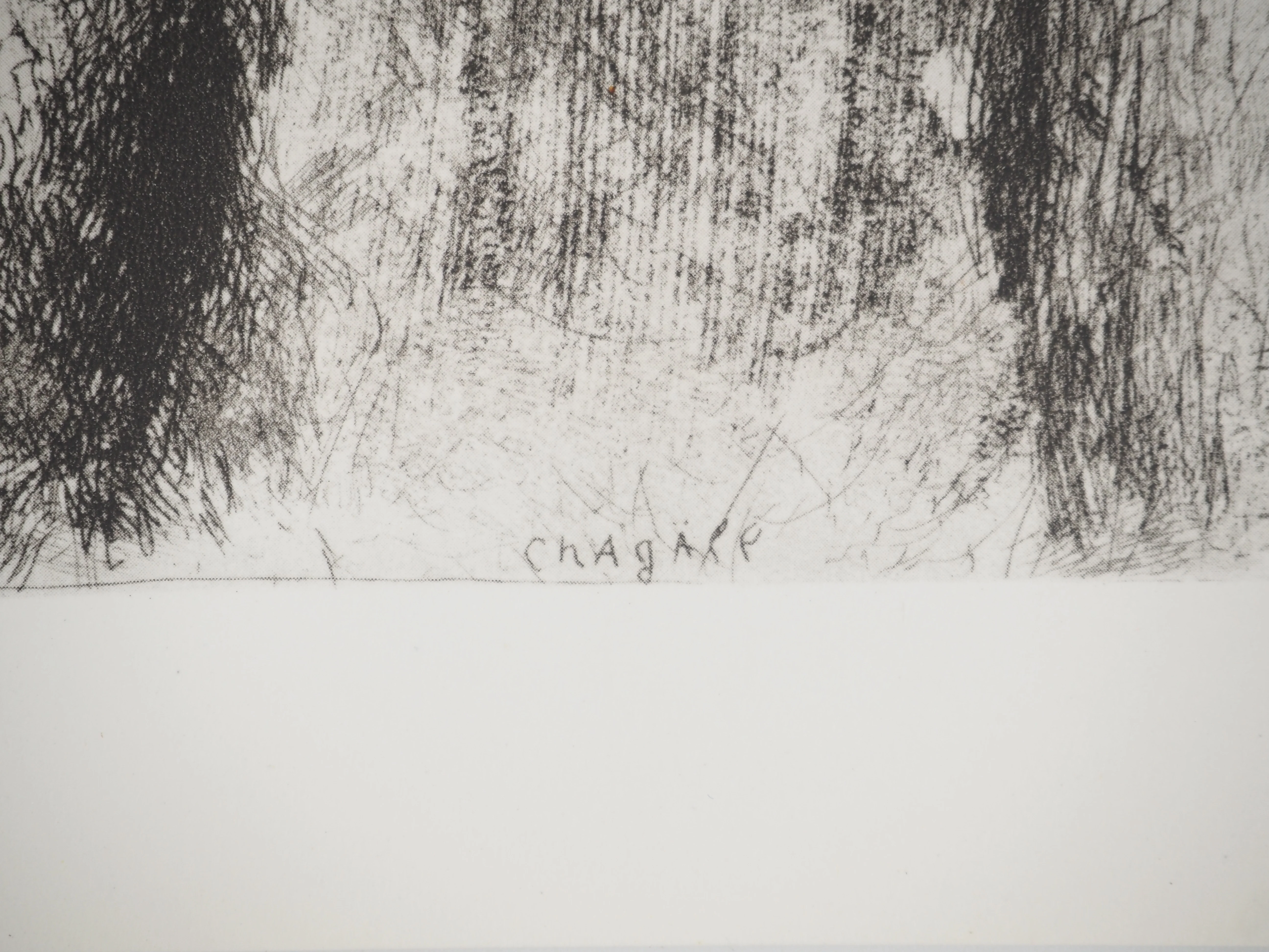 Marc CHAGALL : Dieu crée l'homme, Héliogravure originale - Image 5