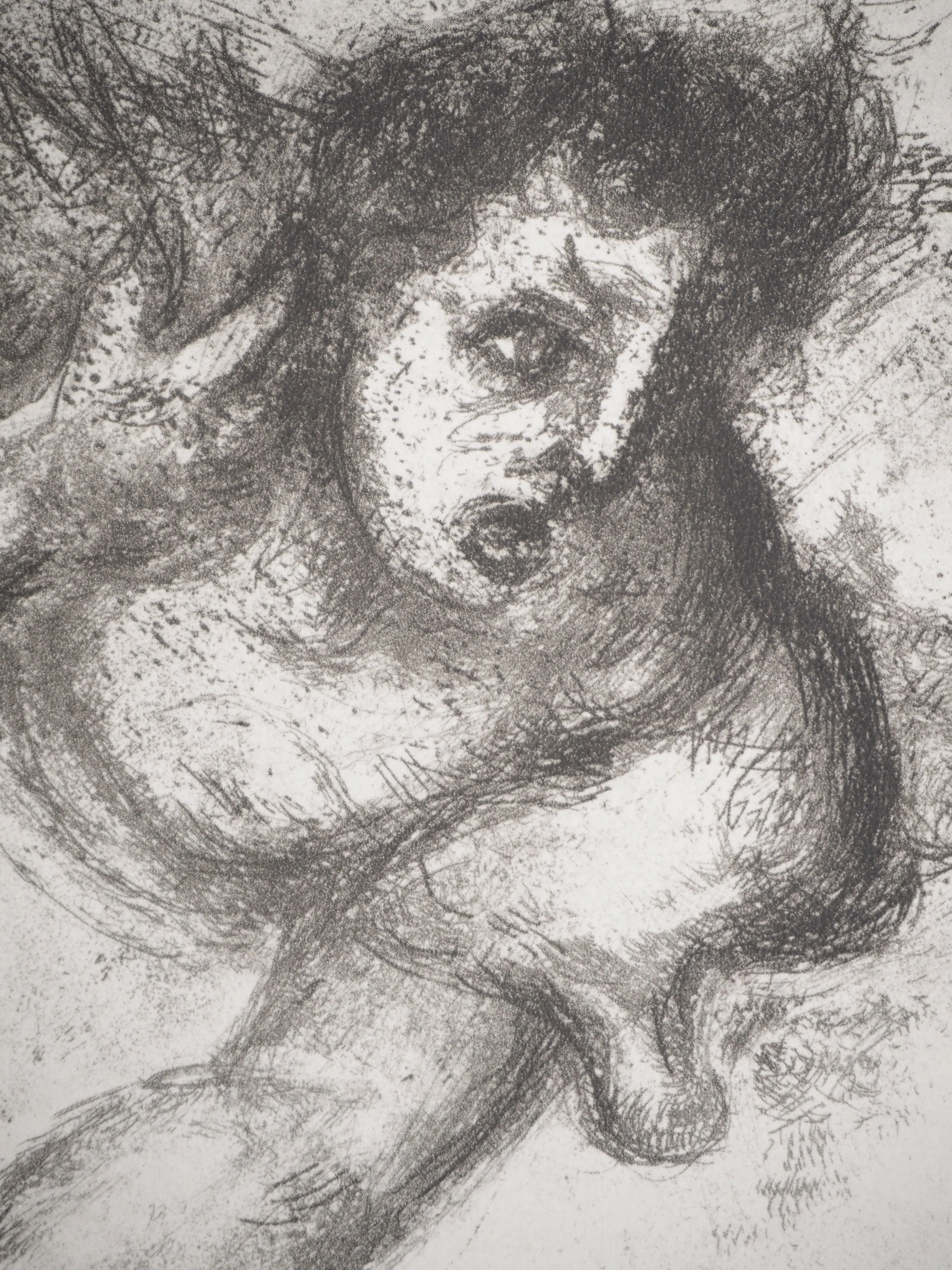 Marc CHAGALL : Jérémie devant la lumière divine, Héliogravure originale - Image 6