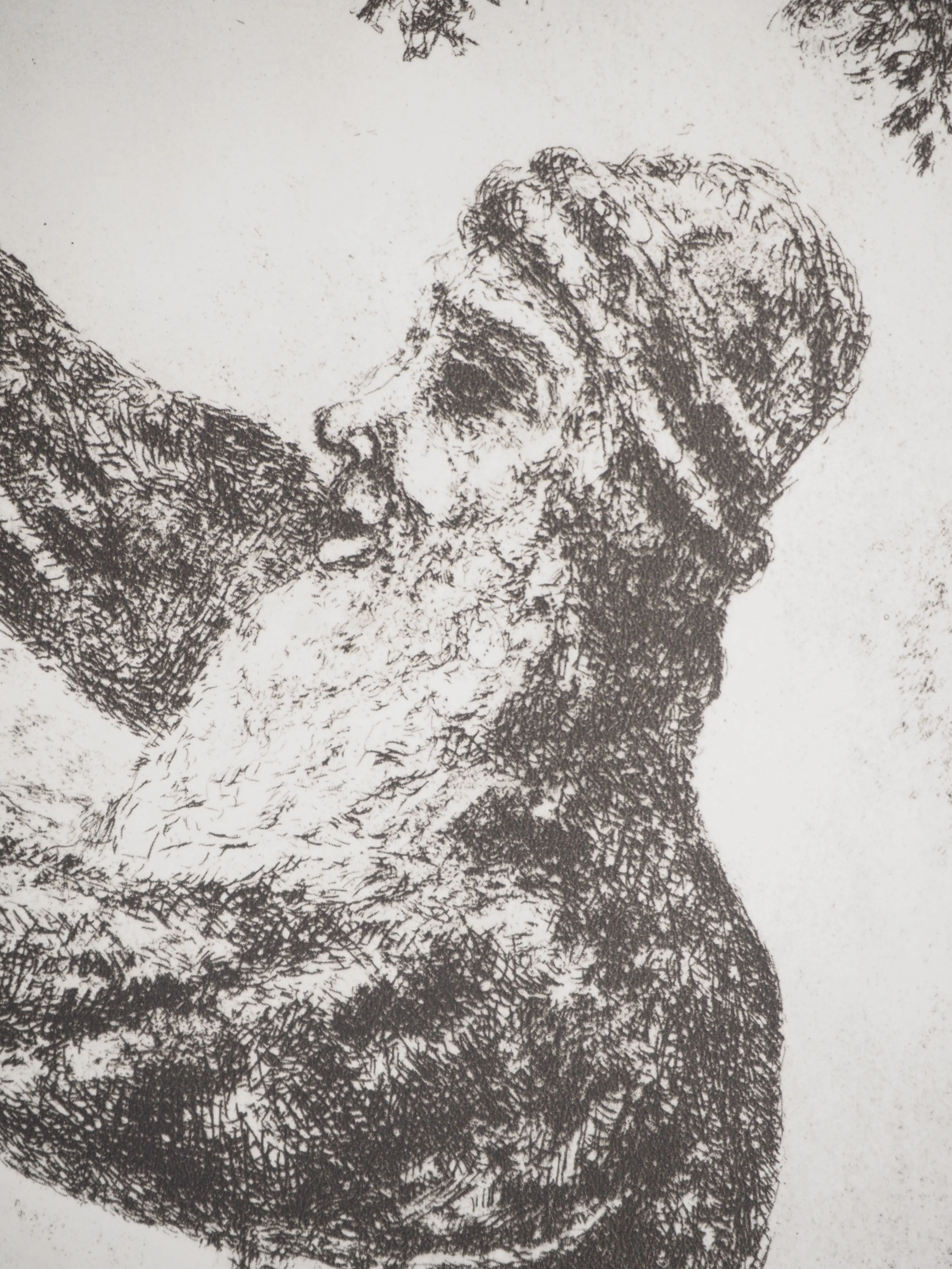 Marc CHAGALL : Josué et les cinq rois de Chanaan, Héliogravure originale signée - Image 6