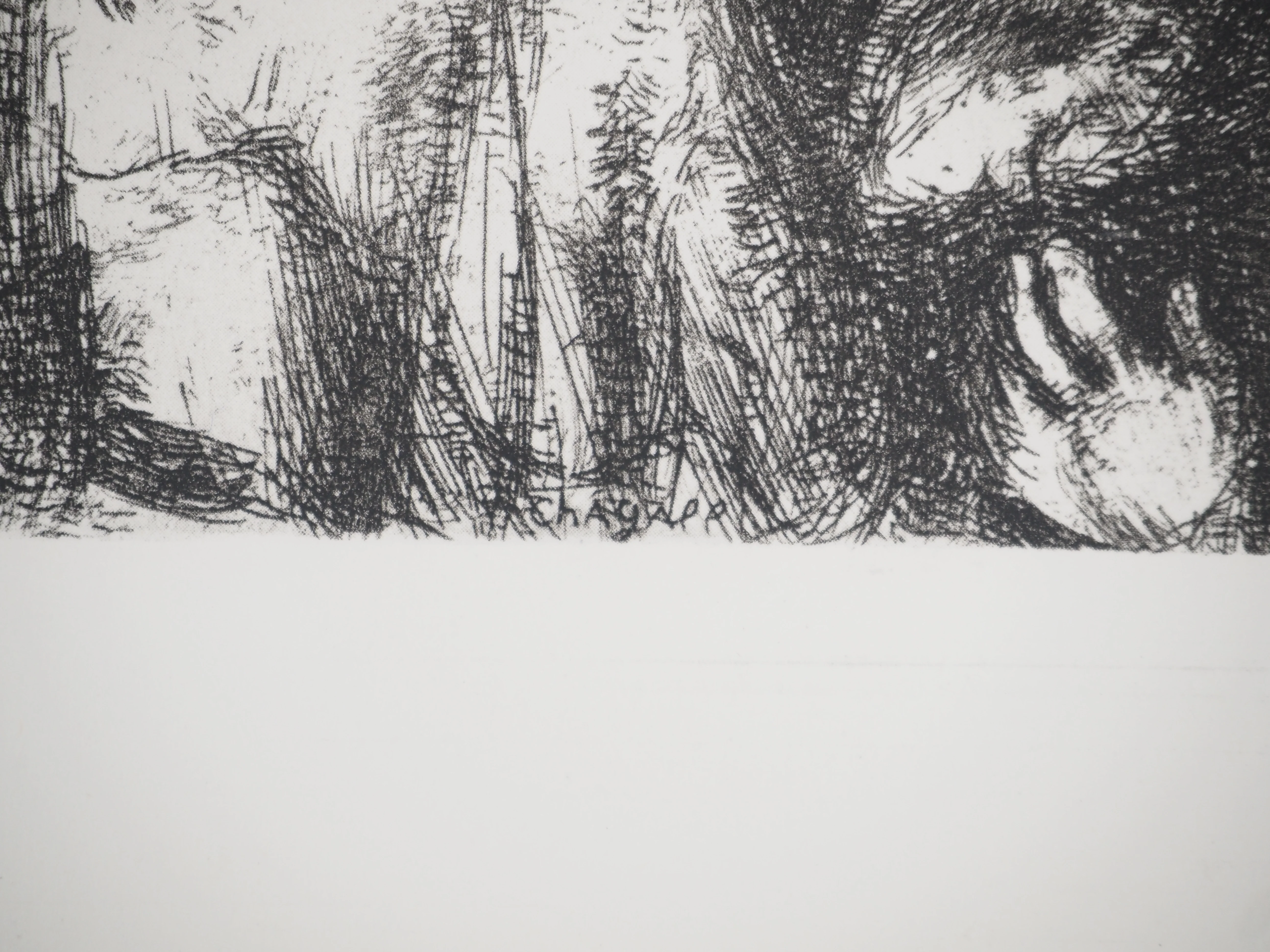 Marc CHAGALL : L'agneau de la Pâque, Héliogravure originale signée - Image 6