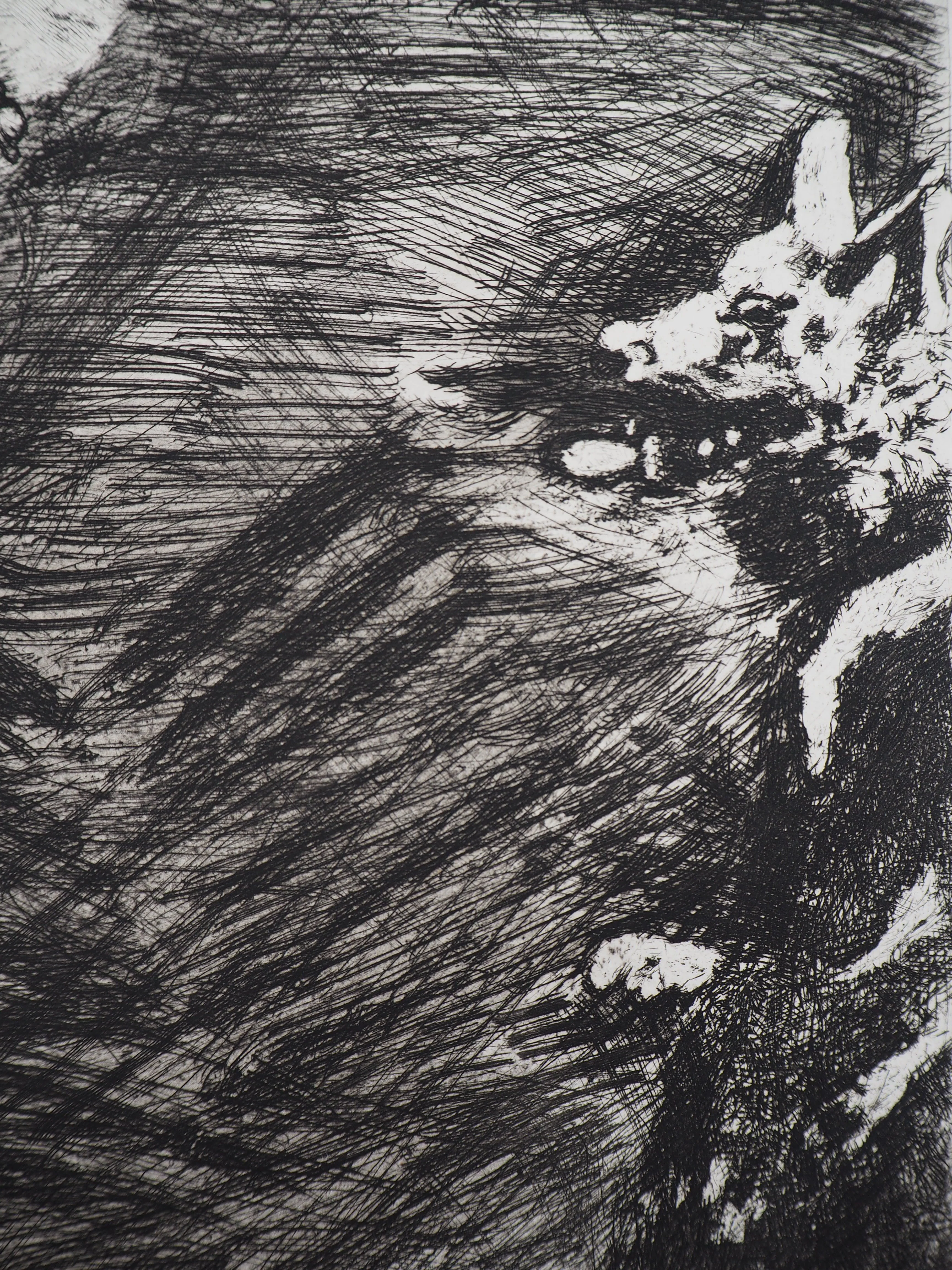 Marc CHAGALL : Le berger et le loup, Gravure originale signée - Image 5