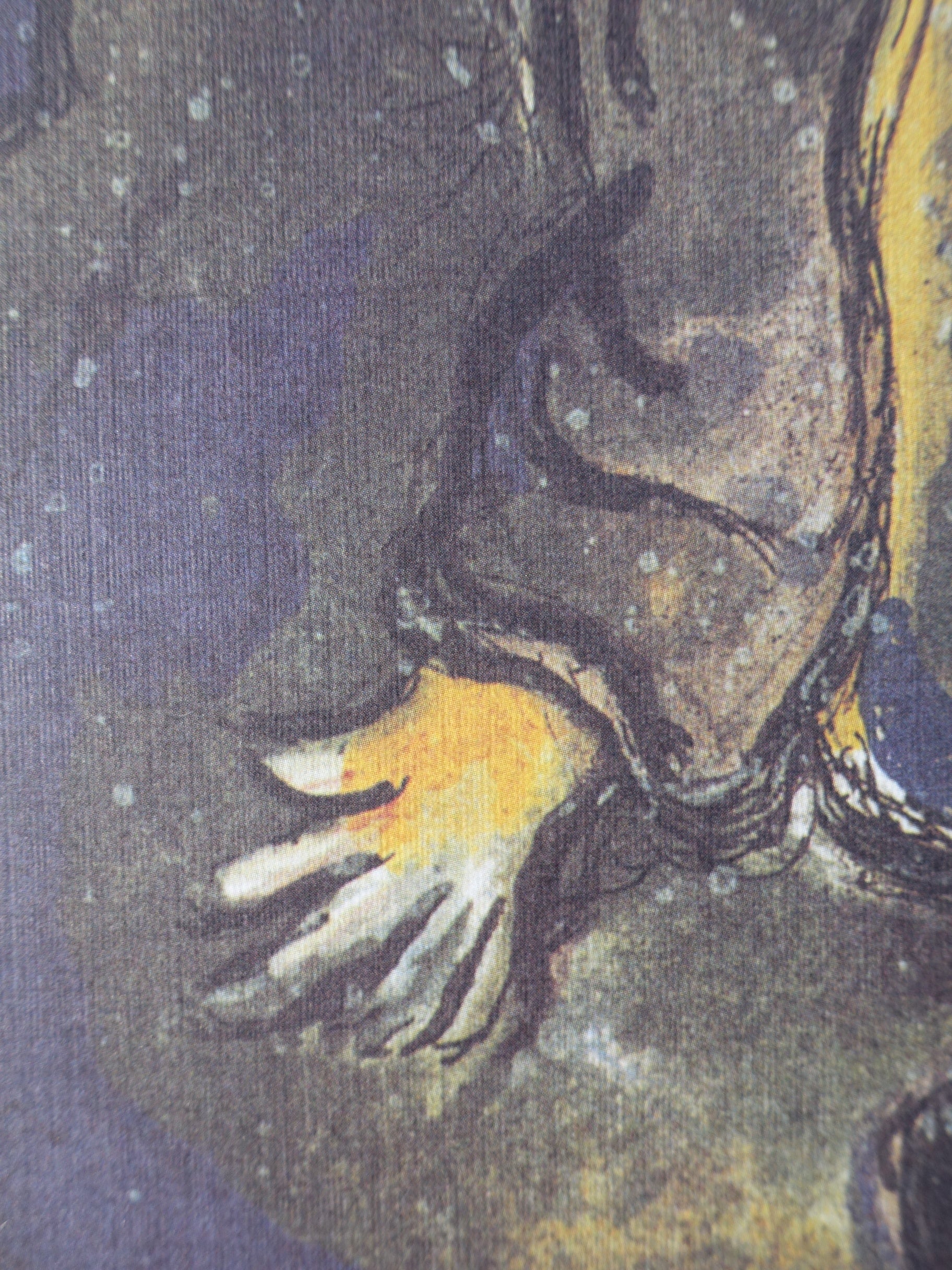 Marc CHAGALL : Moïse et le buisson ardent, Lithographie signée - Image 11