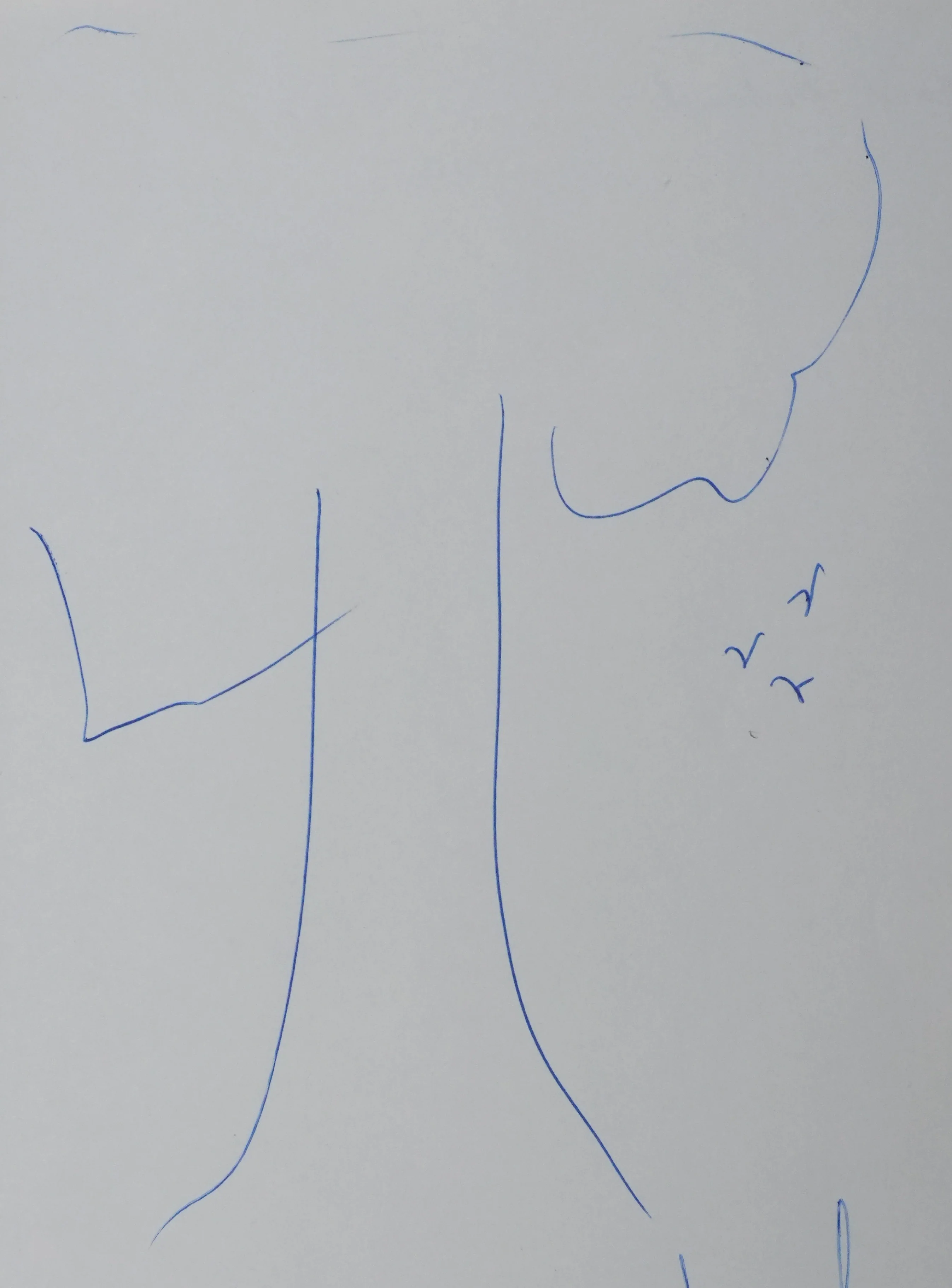 Marcel DUHAMEL : Arbre en bleu, Autographe et dessin original signé - Image 3