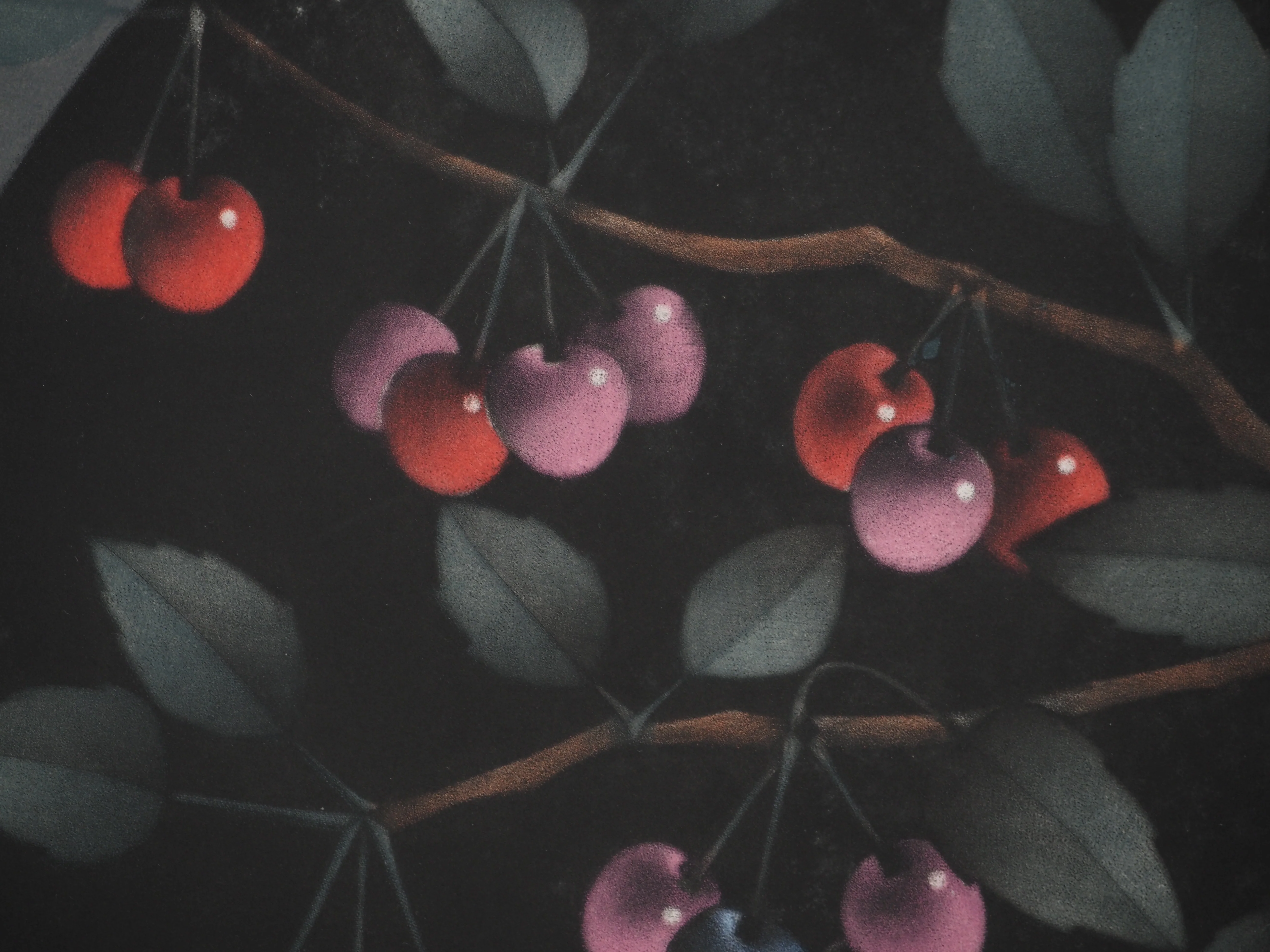Mario AVATI : Les cerises, Pourquoi bleue, Gravure originale signée - Image 5