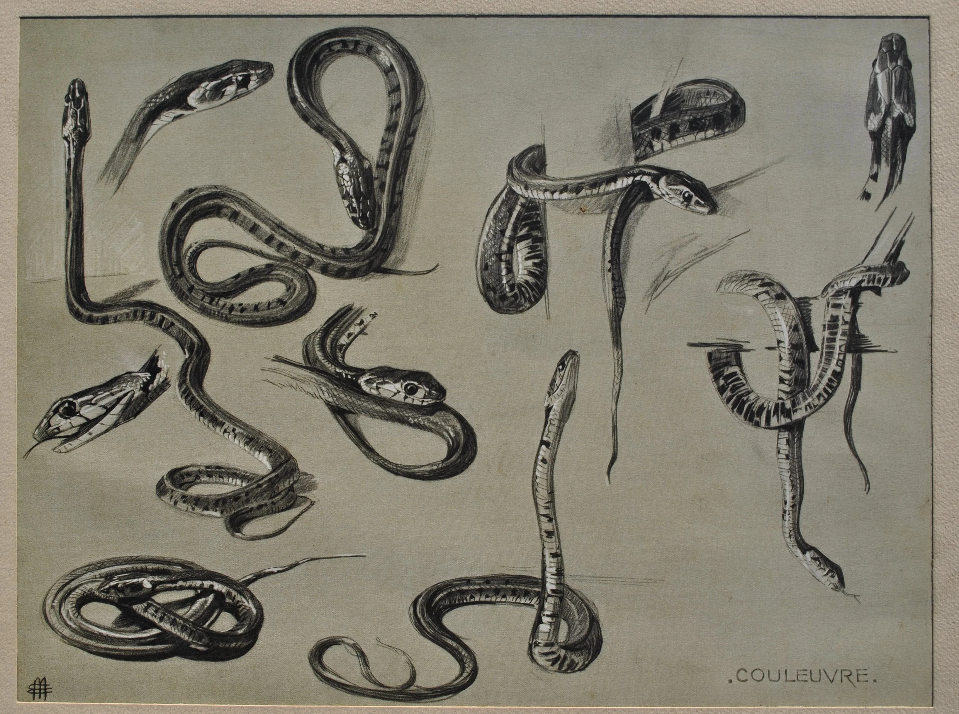 Mathurin MEHEUT : Les Serpents, Lithographie signée - Image 2