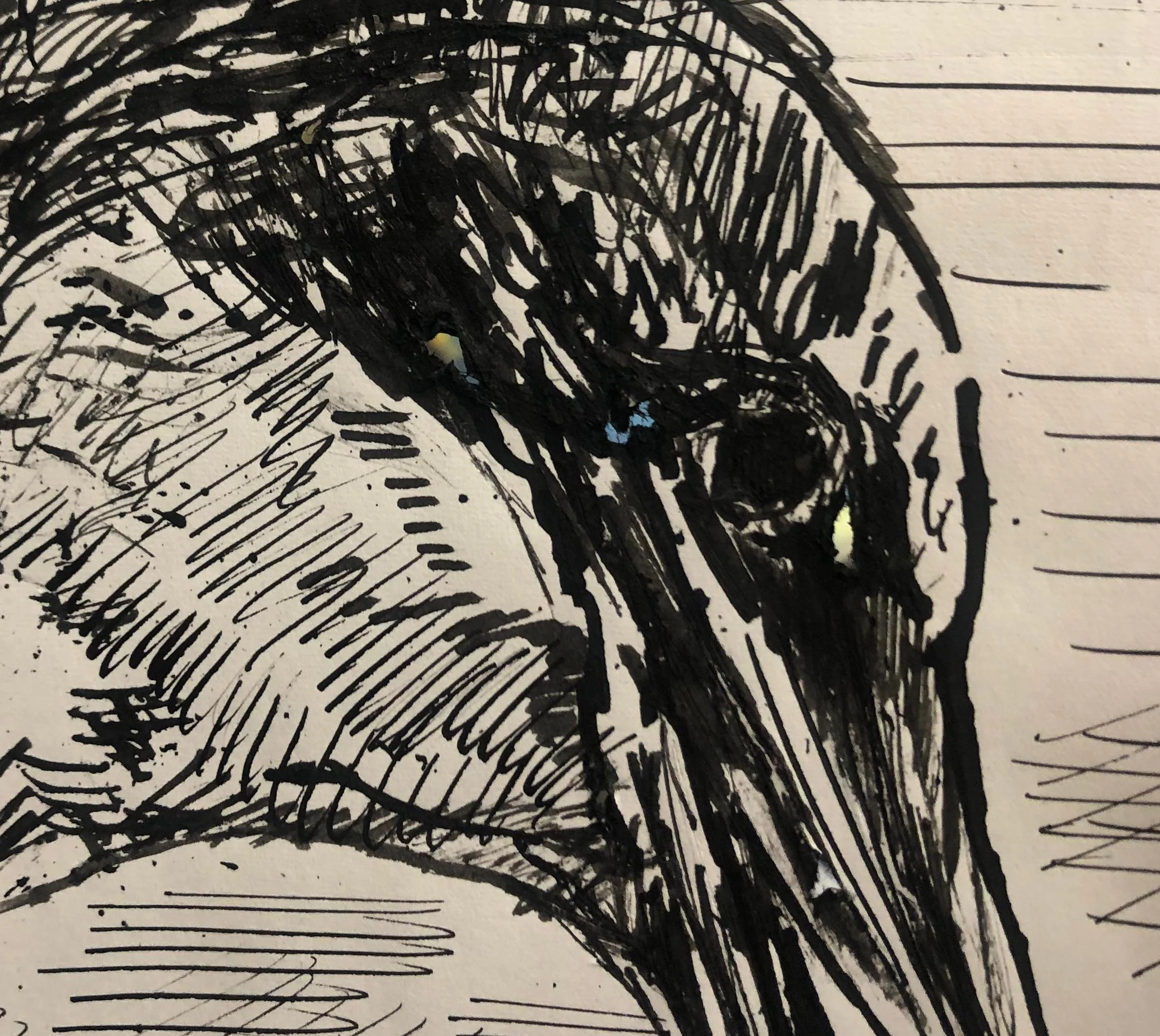 Maurice GENIS : Vol d'oiseau, Dessin original - Image 5