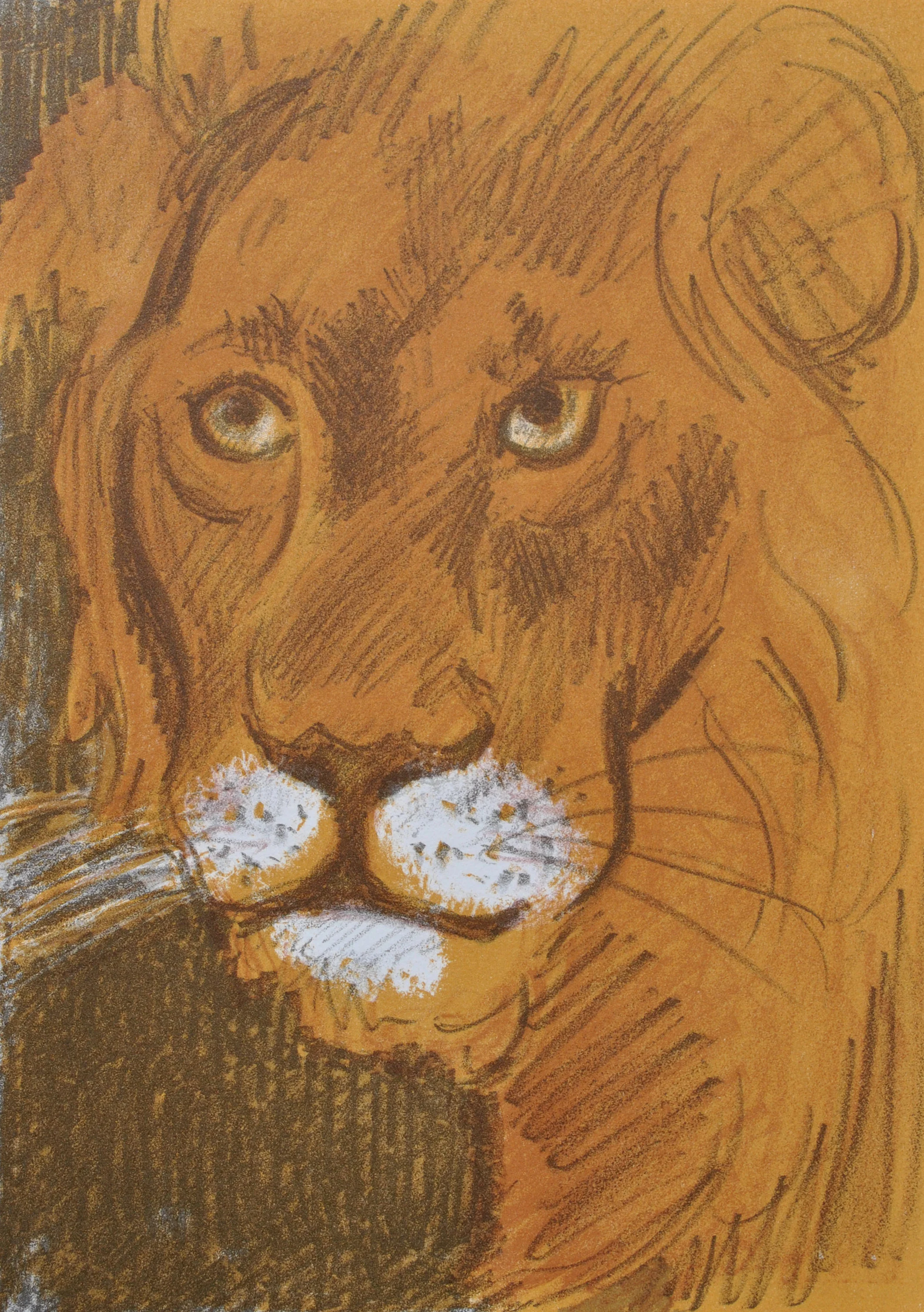 Maurice MOURLOT : Le Lion, 9 Lithographies originales, 1972 - Image 2