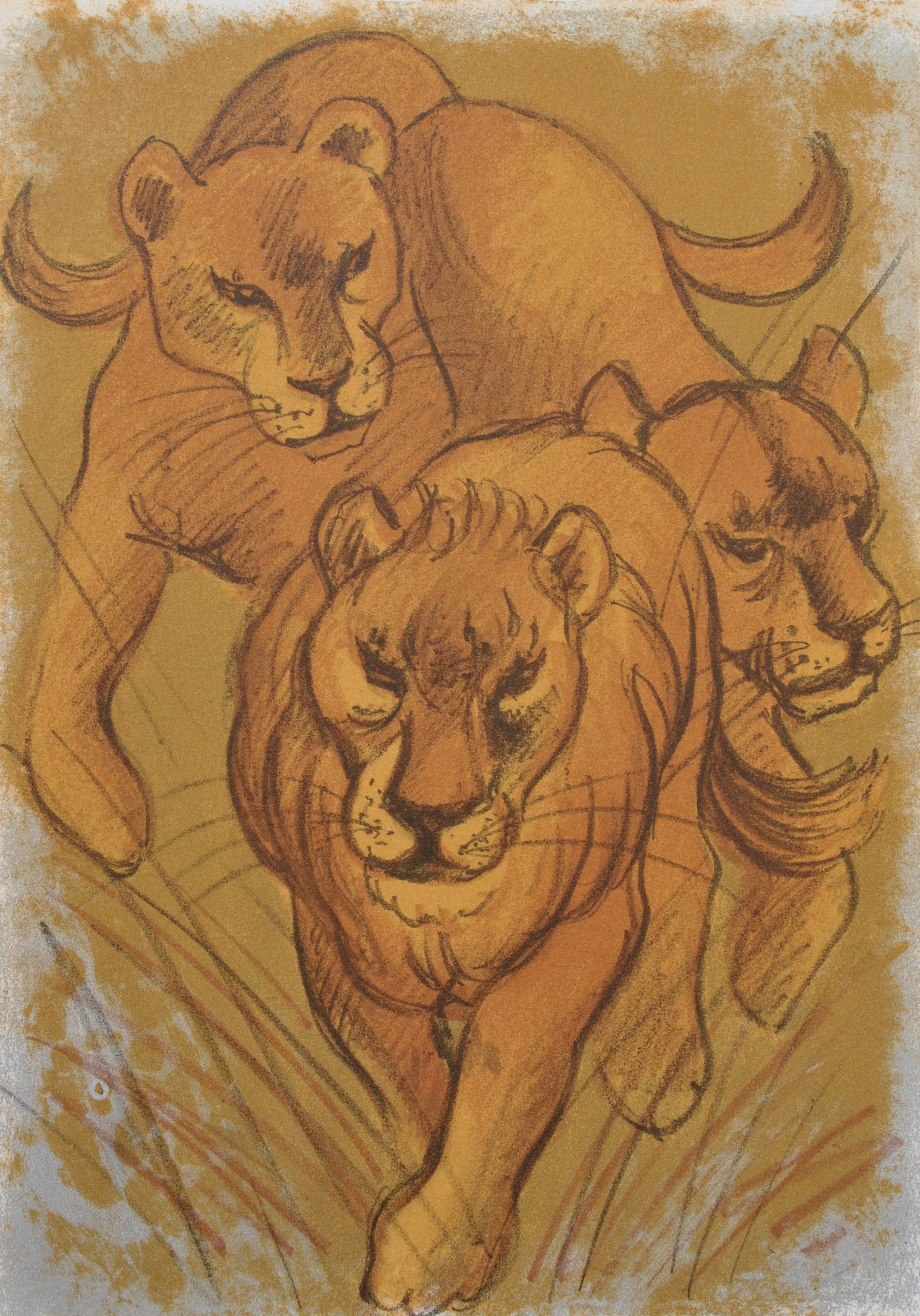 Maurice MOURLOT : Le Lion, 9 Lithographies originales, 1972 - Image 9
