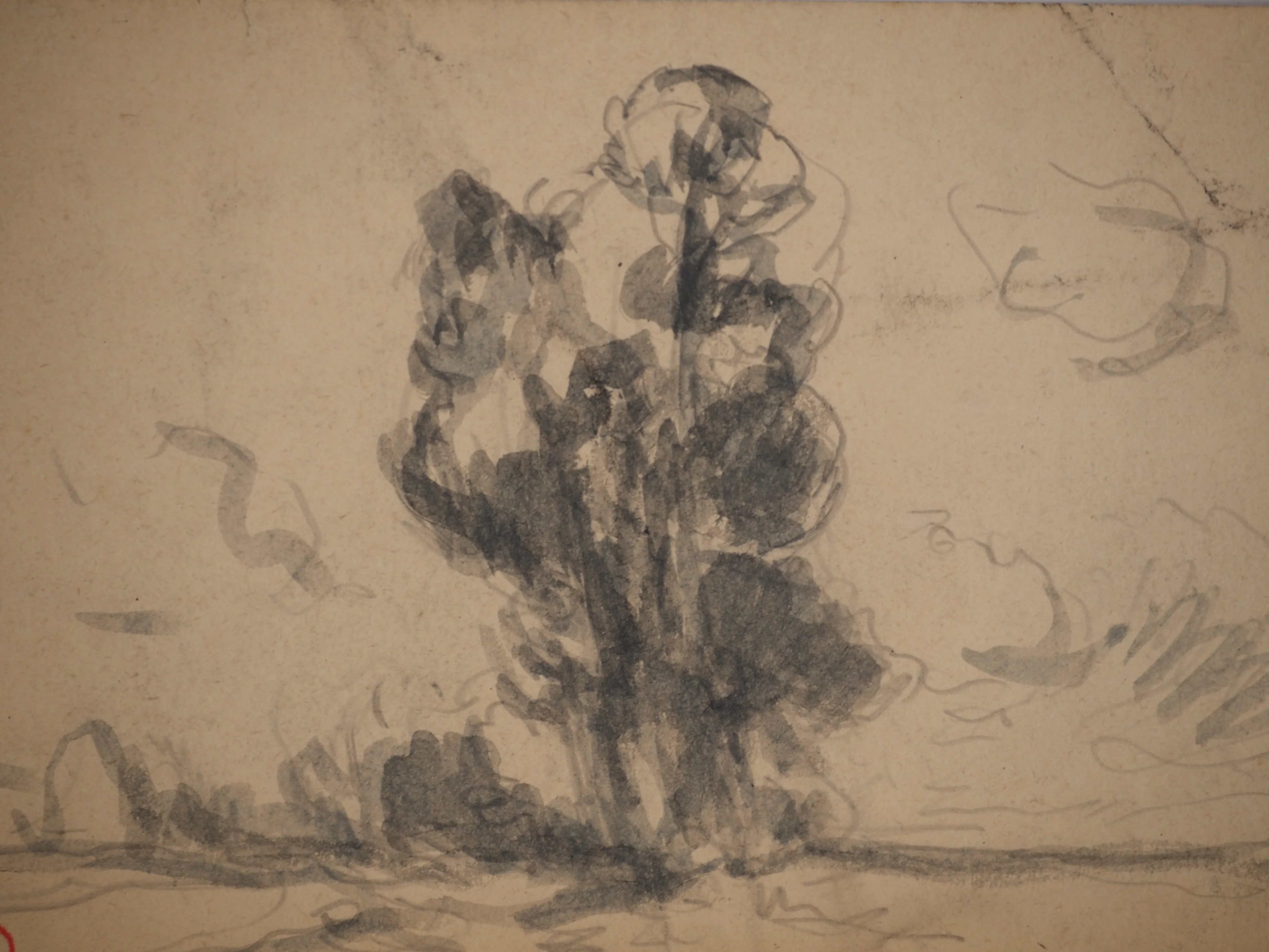 Maximilien LUCE : Arbre solitaire, Dessin original signé - Image 3