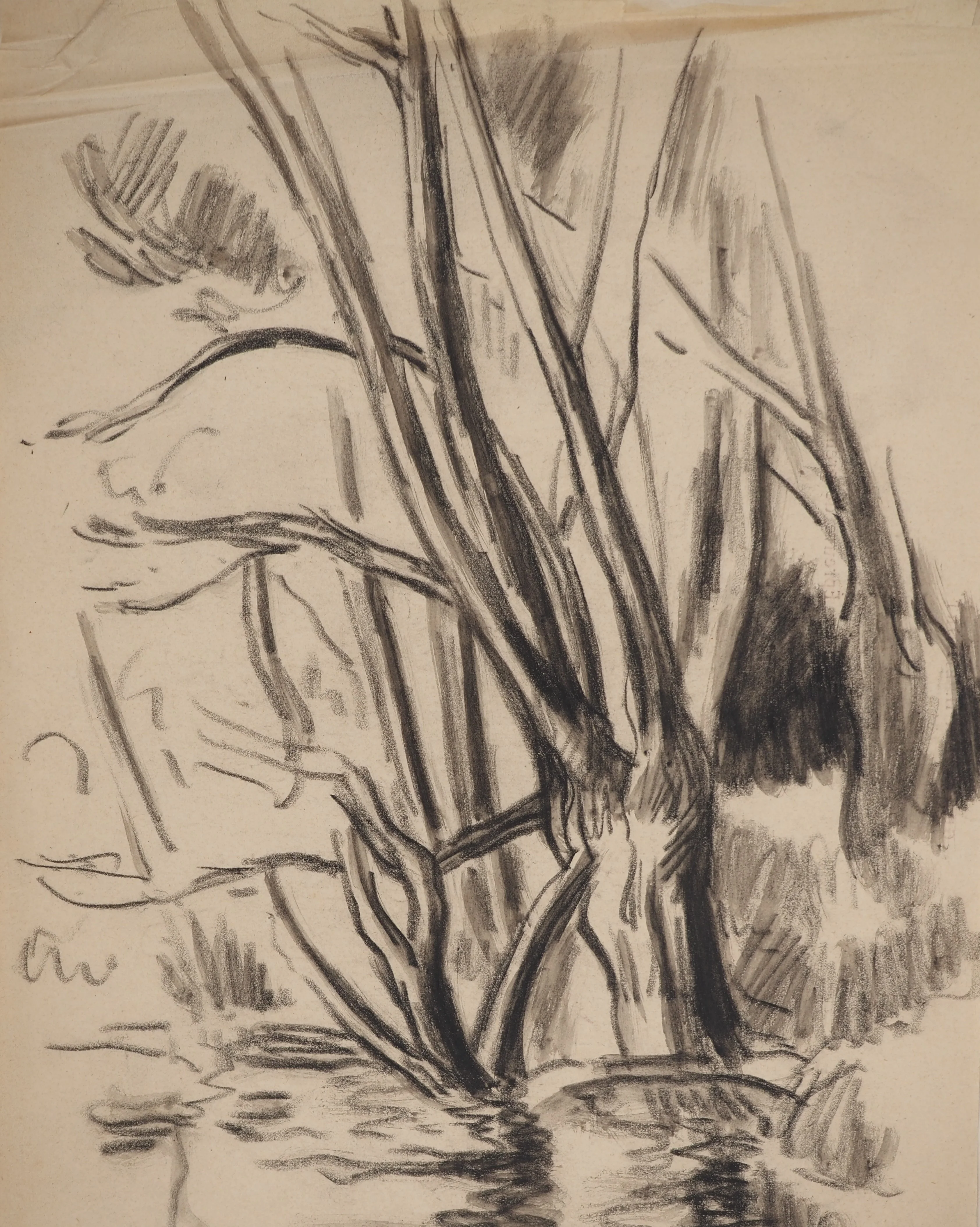 Maximilien LUCE : Bord de rivière, Dessin original signé - Image 3