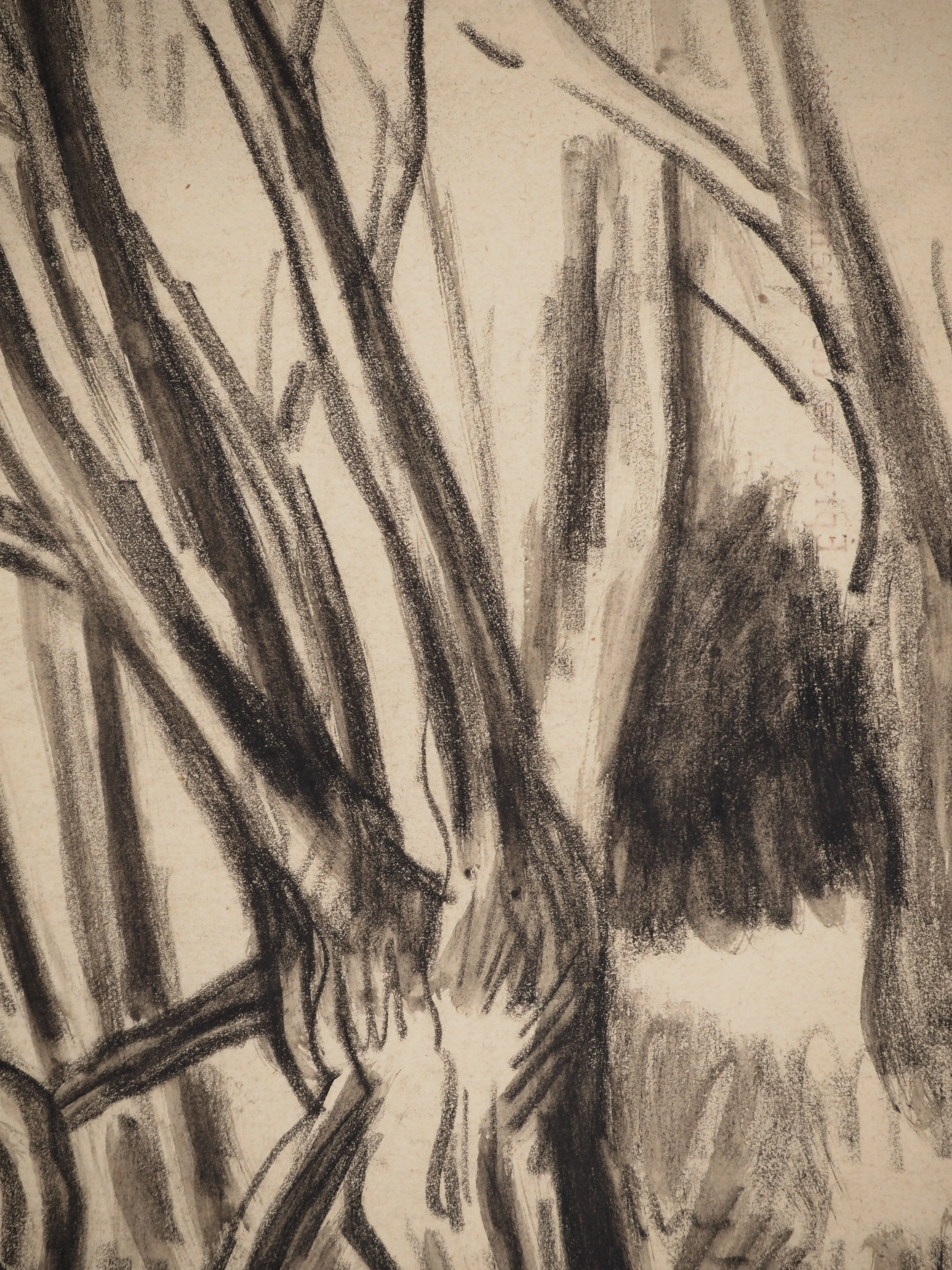 Maximilien LUCE : Bord de rivière, Dessin original signé - Image 4