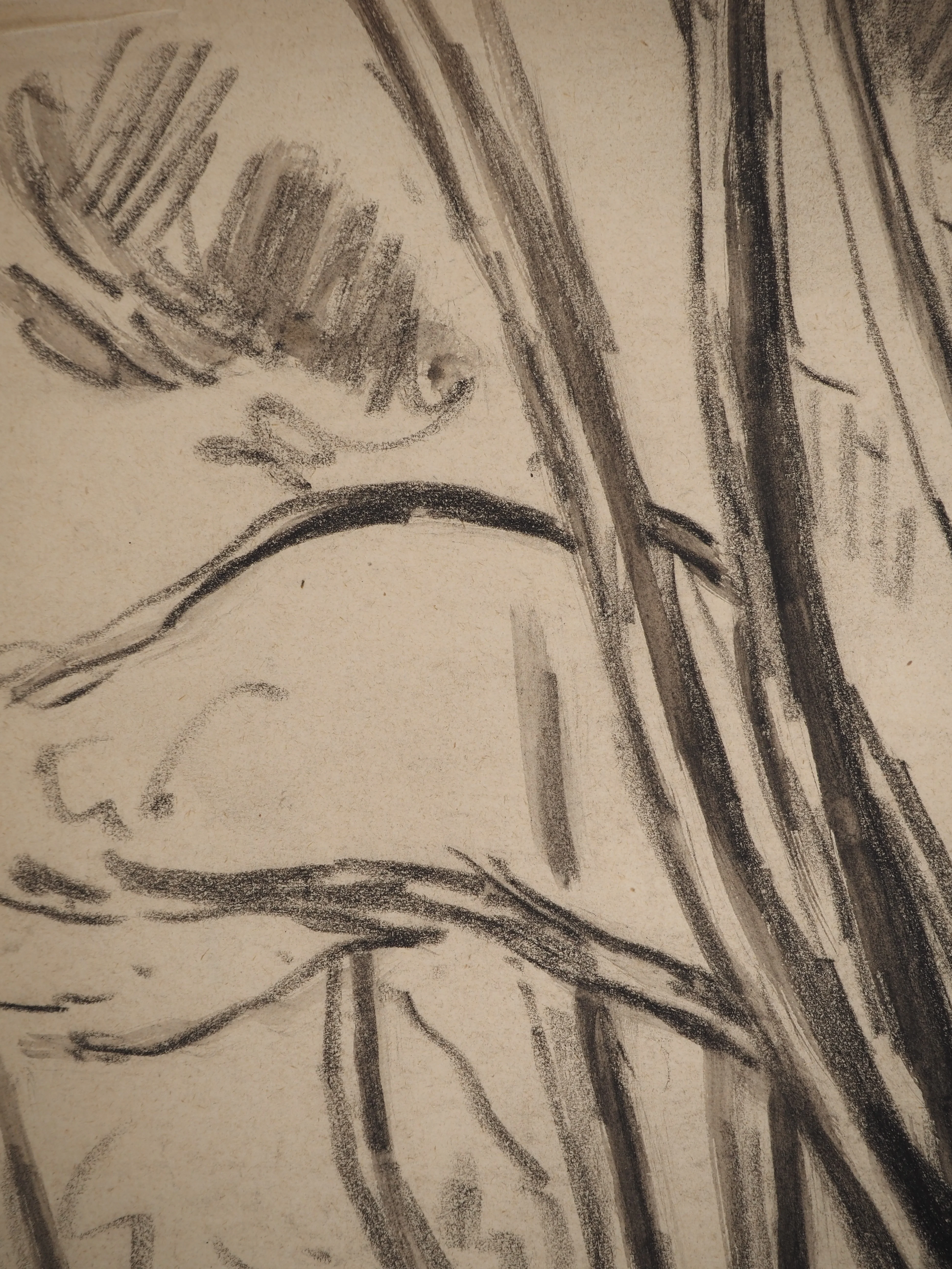 Maximilien LUCE : Bord de rivière, Dessin original signé - Image 6