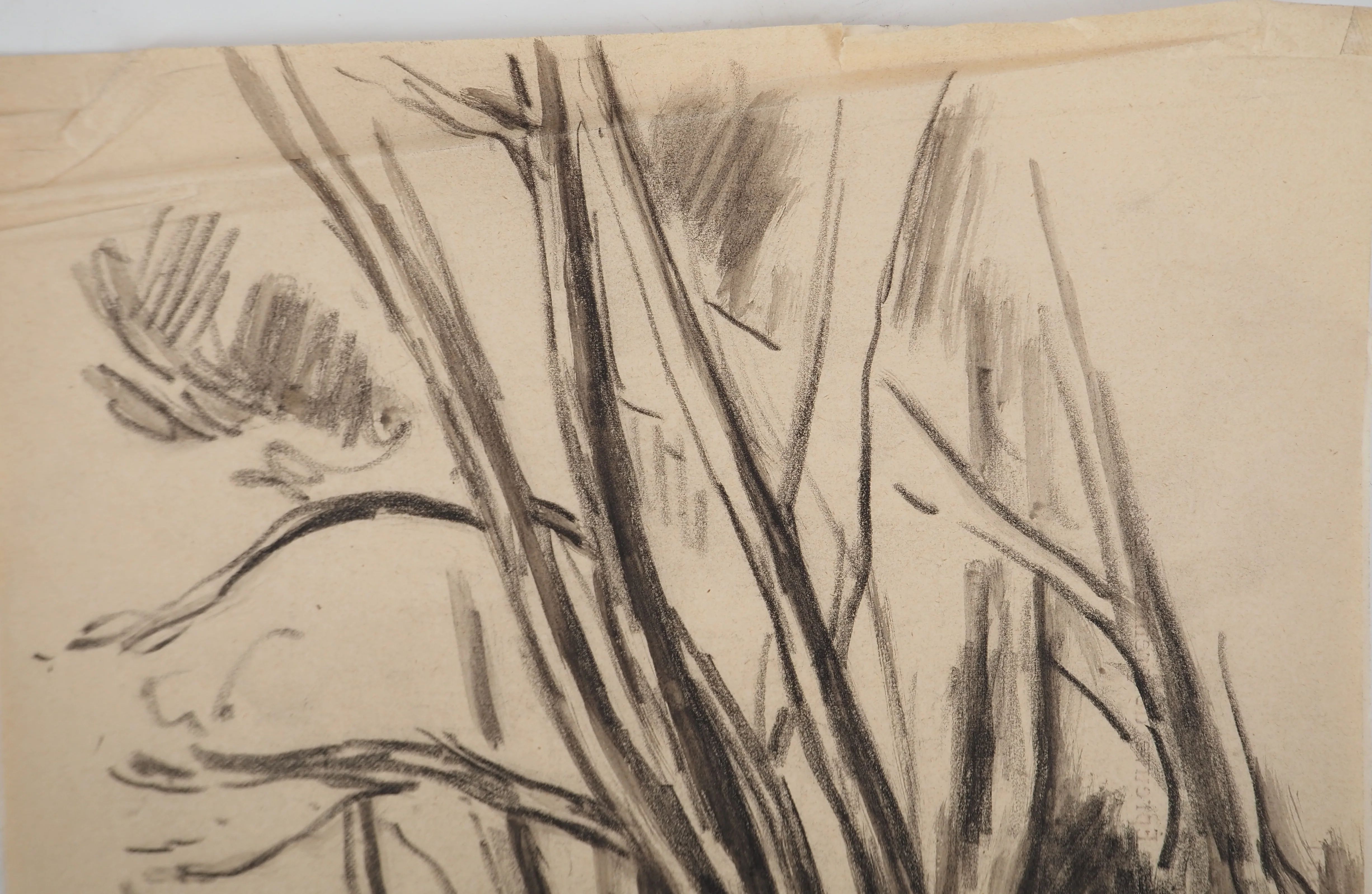 Maximilien LUCE : Bord de rivière, Dessin original signé - Image 7