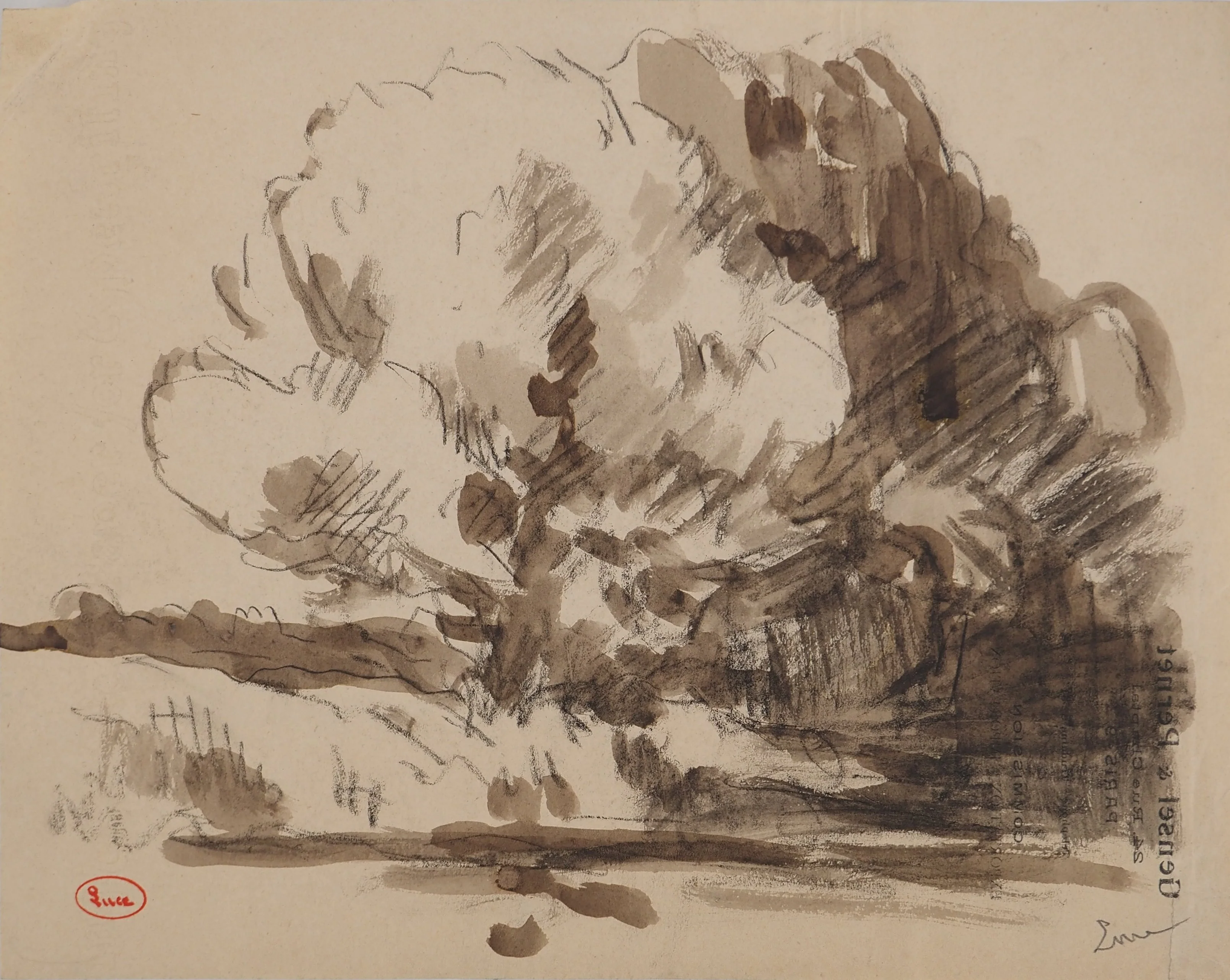 Maximilien LUCE : Nature aux grands arbres, Dessin original signé