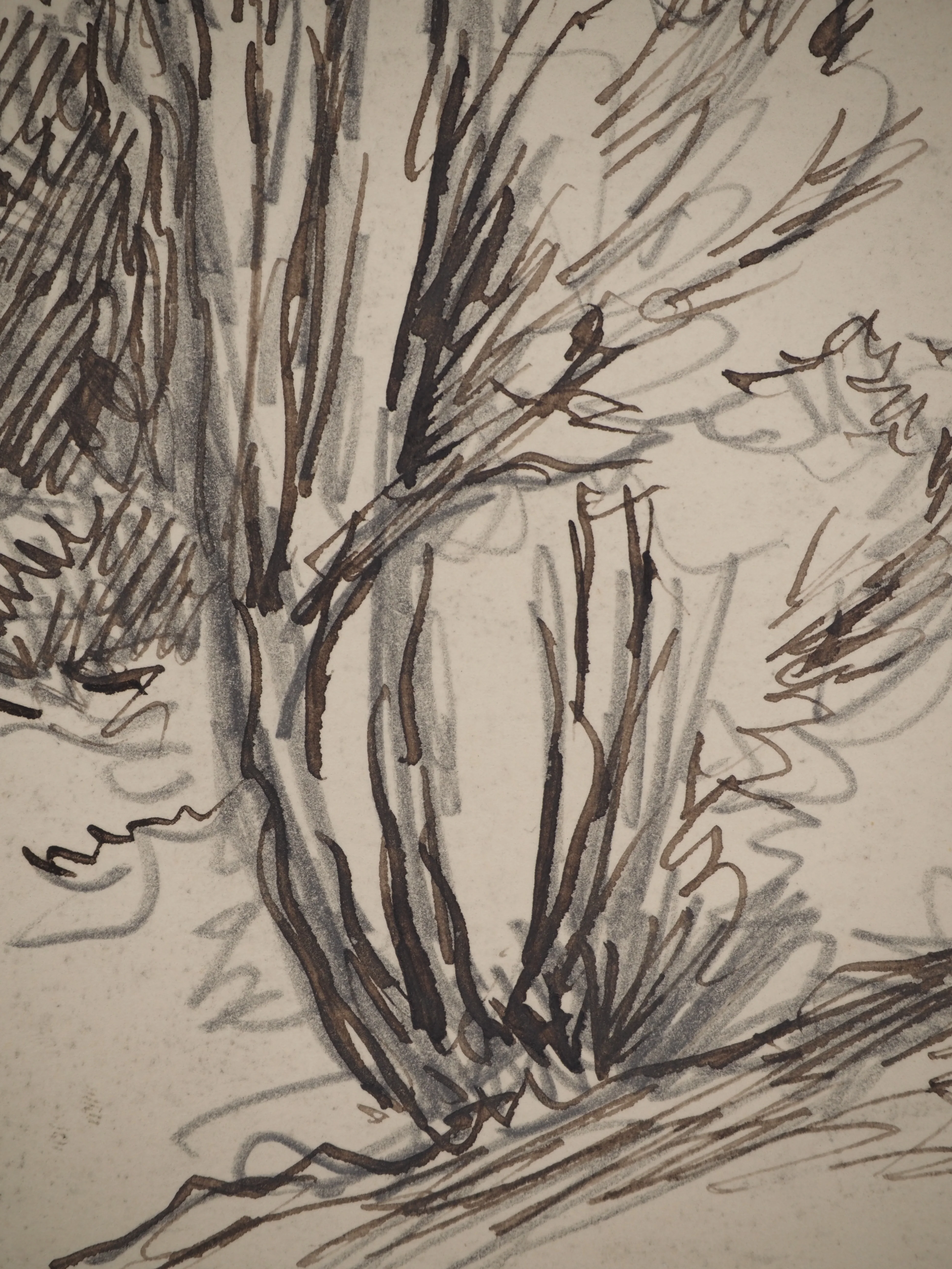 Maximilien LUCE : Nature sauvage, Dessin original signé - Image 5